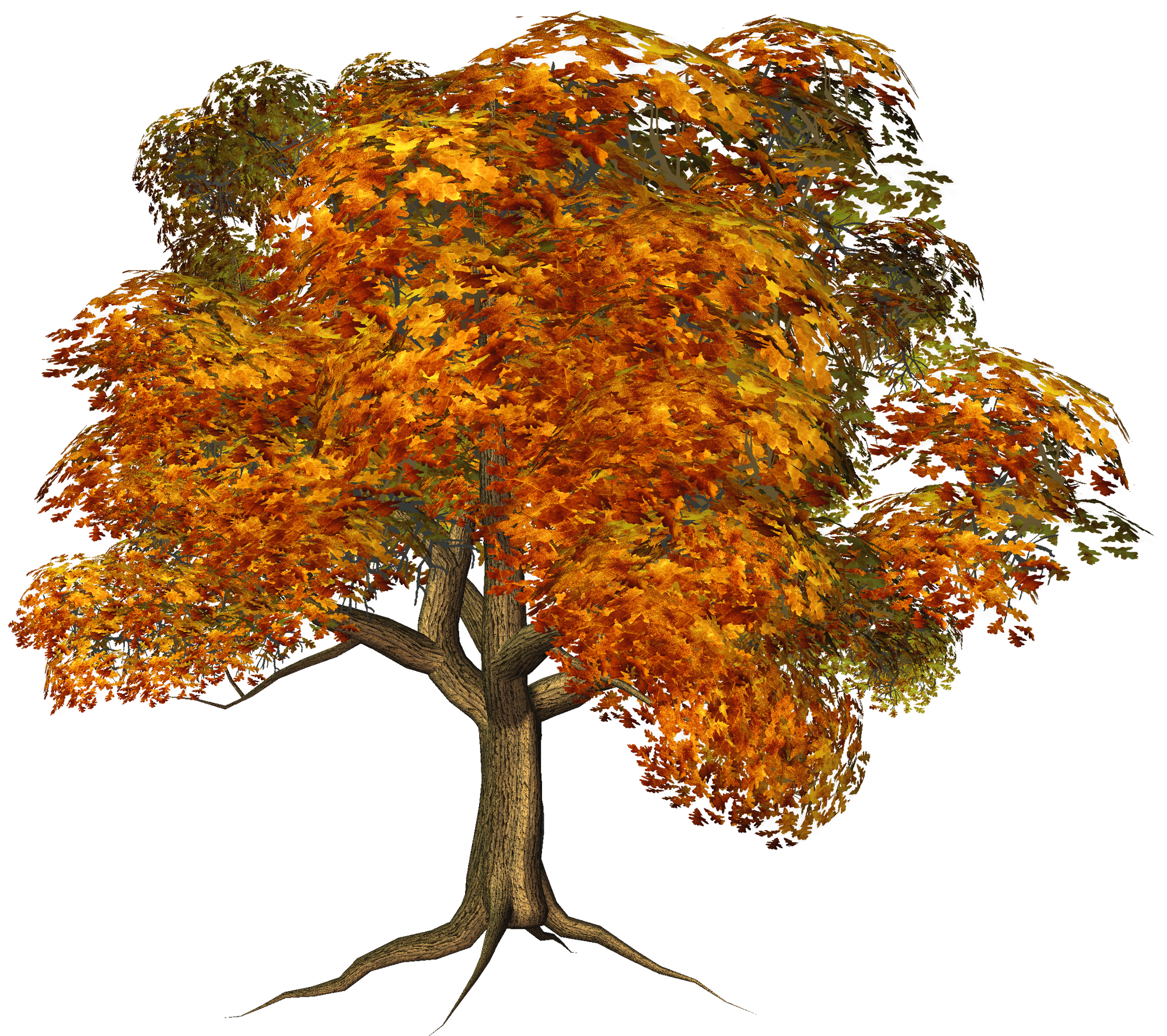 fall tree clip art - photo #38