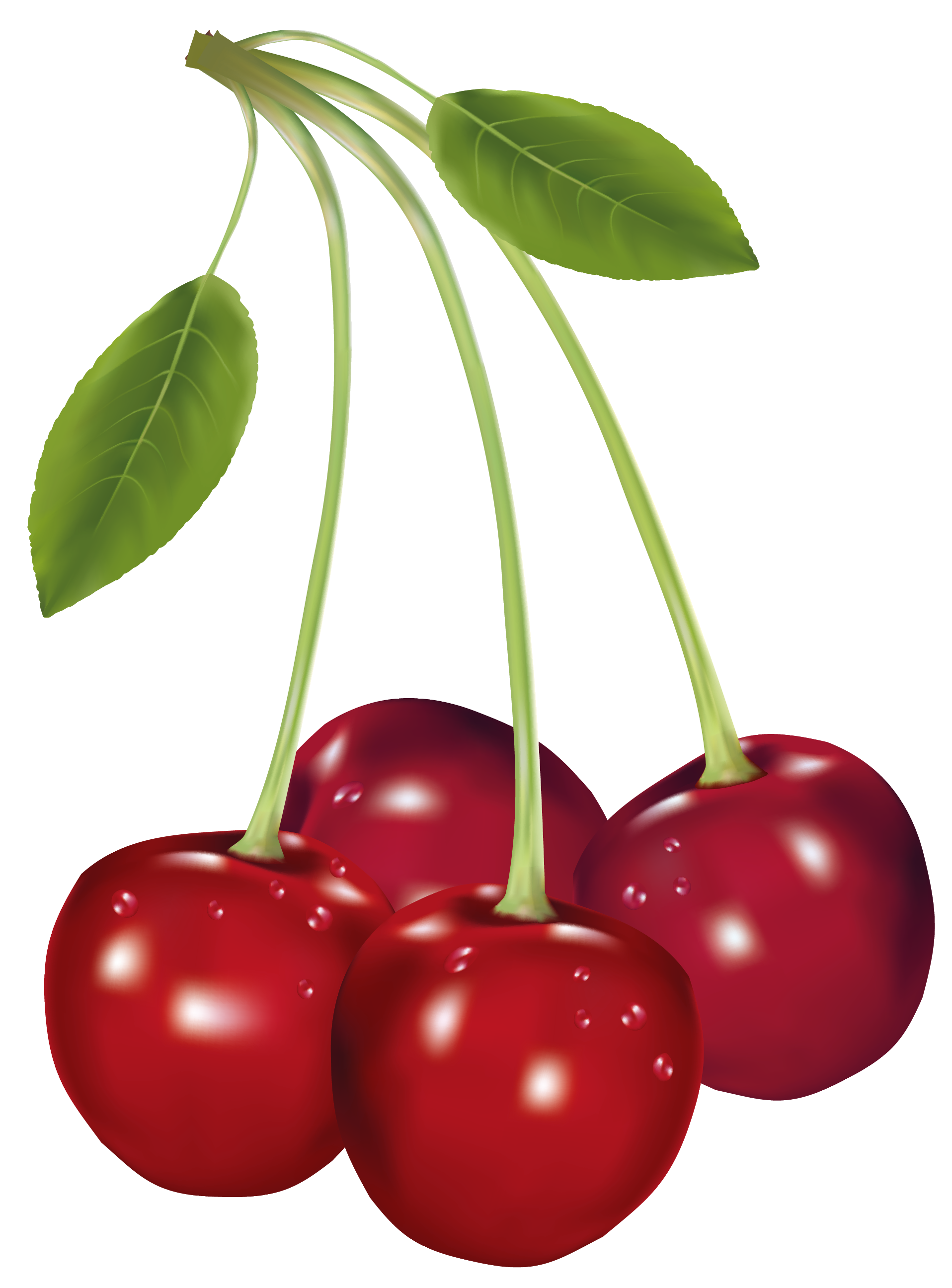 clipart images of fruits - photo #28