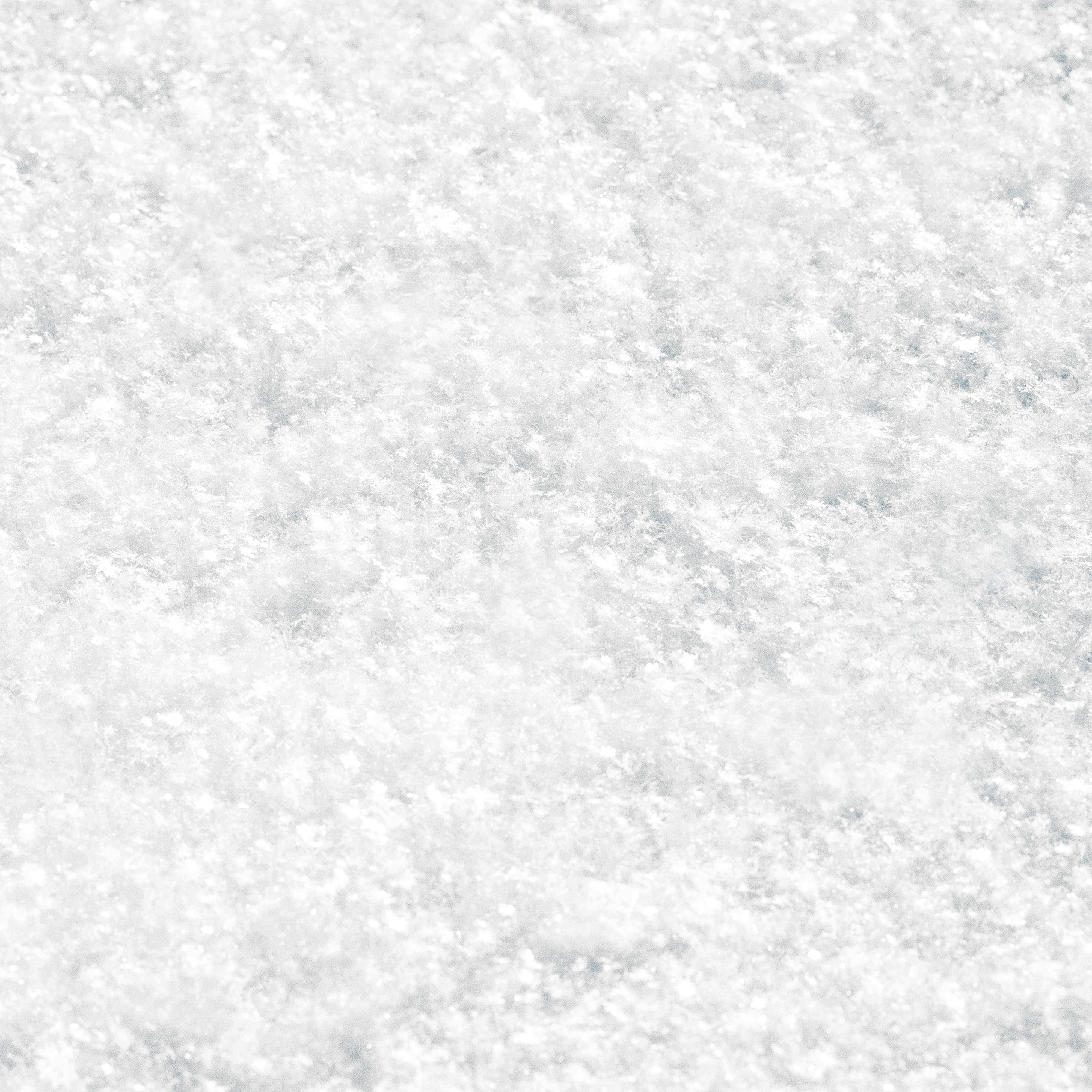 white rug