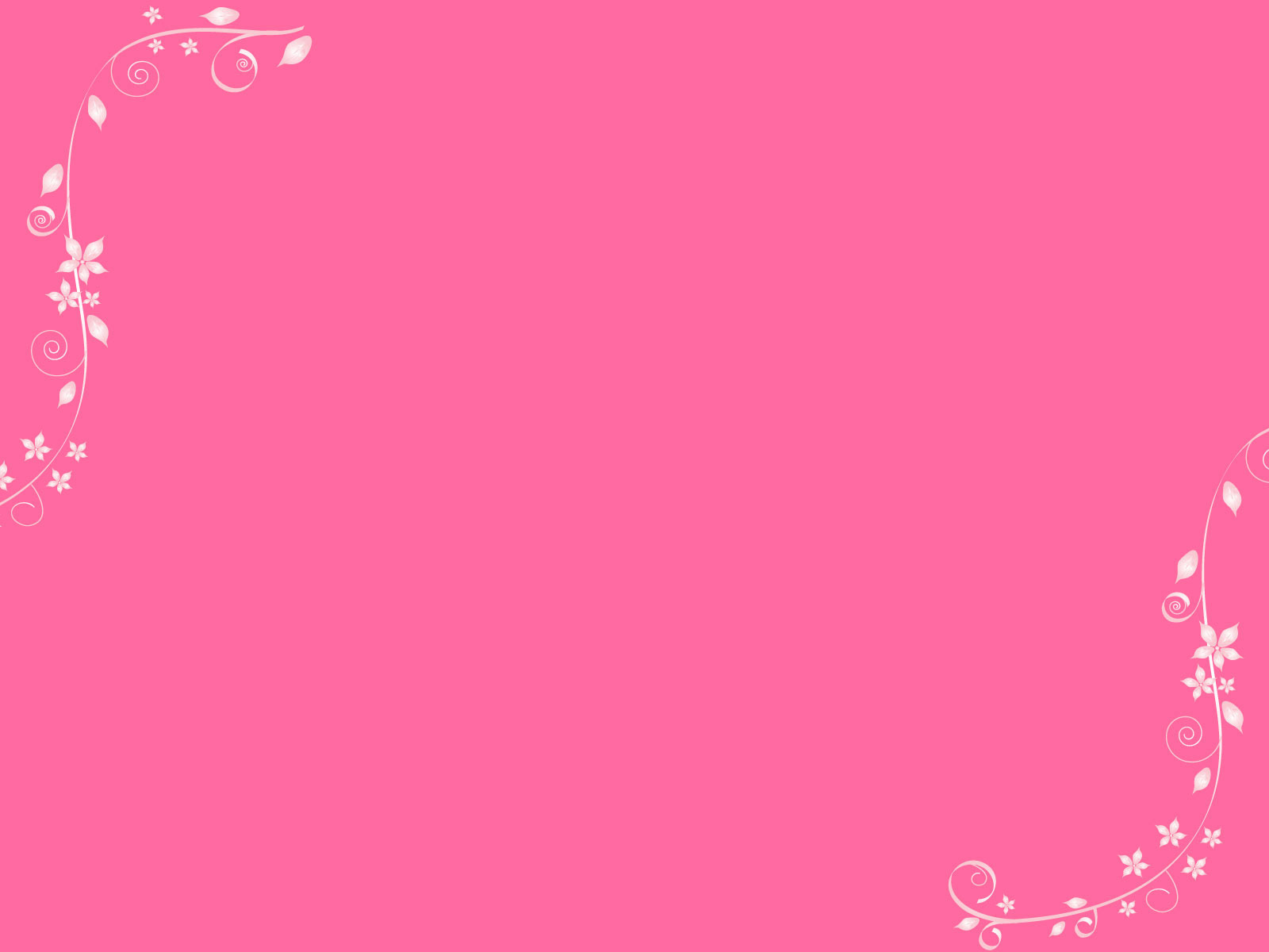 Border Pink