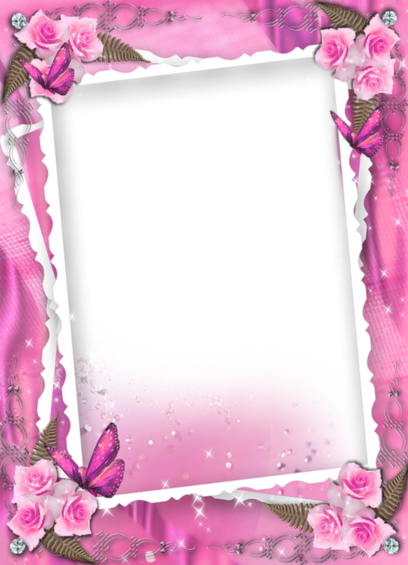 Beautiful Pink Transparent Frame With Roses | Gallery Yopriceville