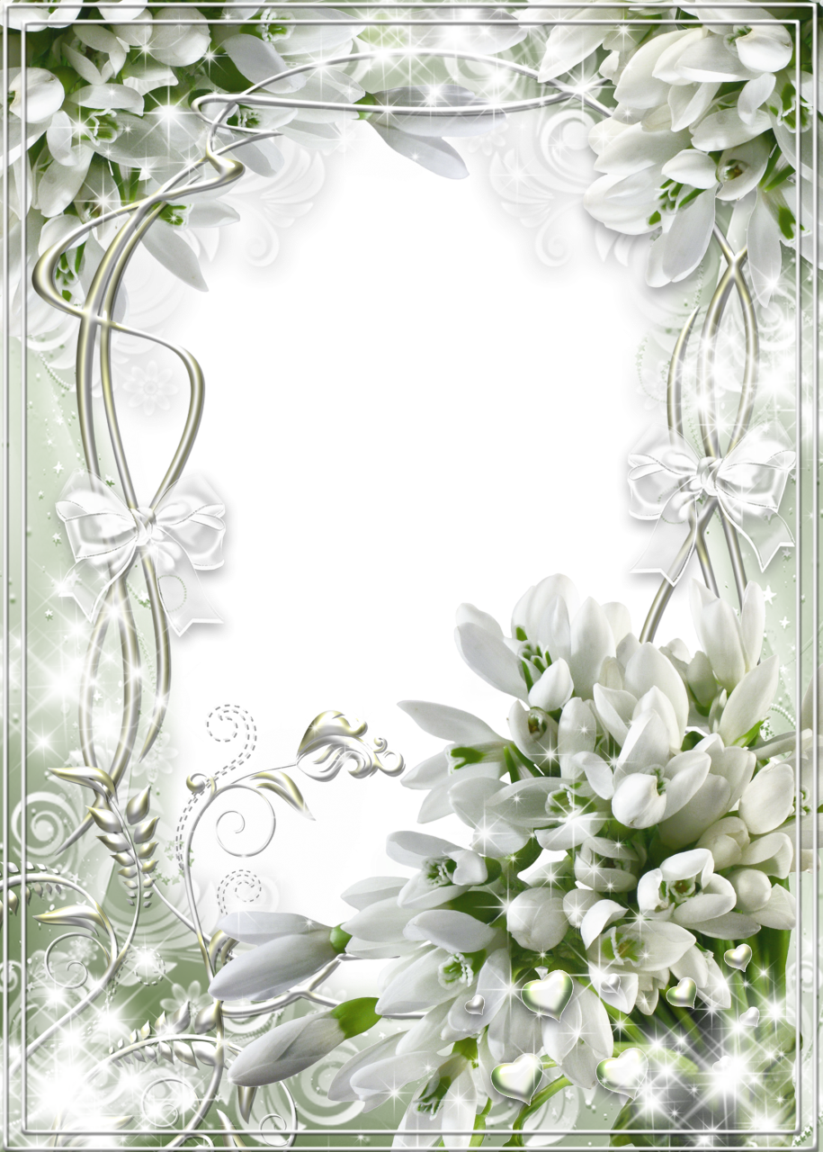 Beautiful White Soft Transparent Frame with Snowdrops | Gallery