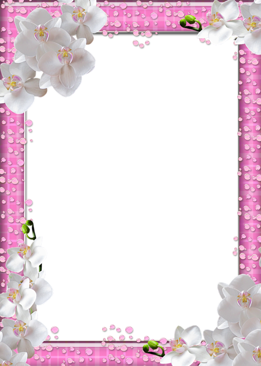 Cute PNG Pink Photo Frame with White Flowers | Gallery Yopriceville