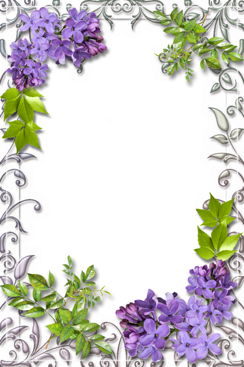 Cute White PNG Frame with Lilac | Gallery Yopriceville - High-Quality