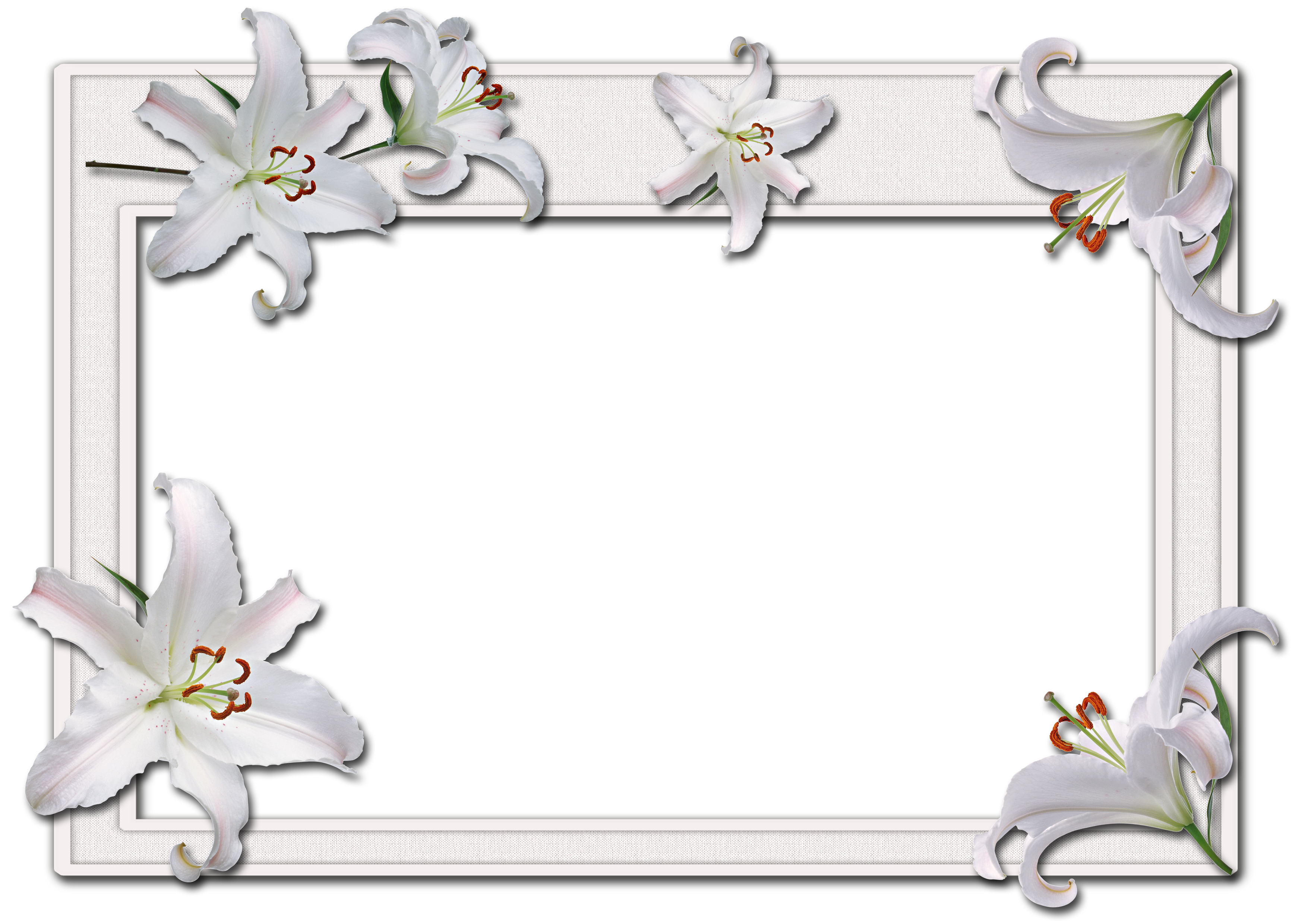 Flowers frame (10)