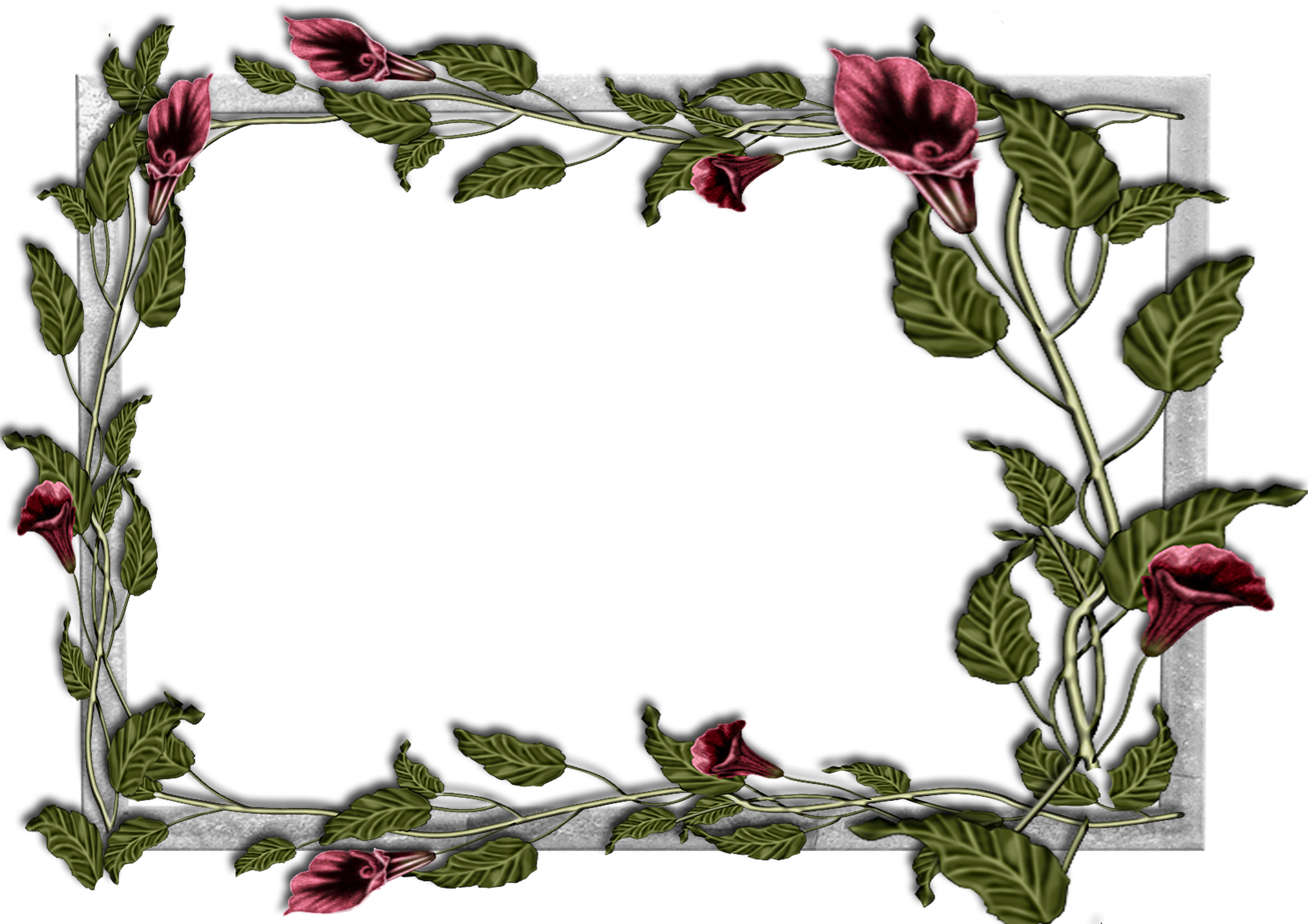 Flowers frame (14)