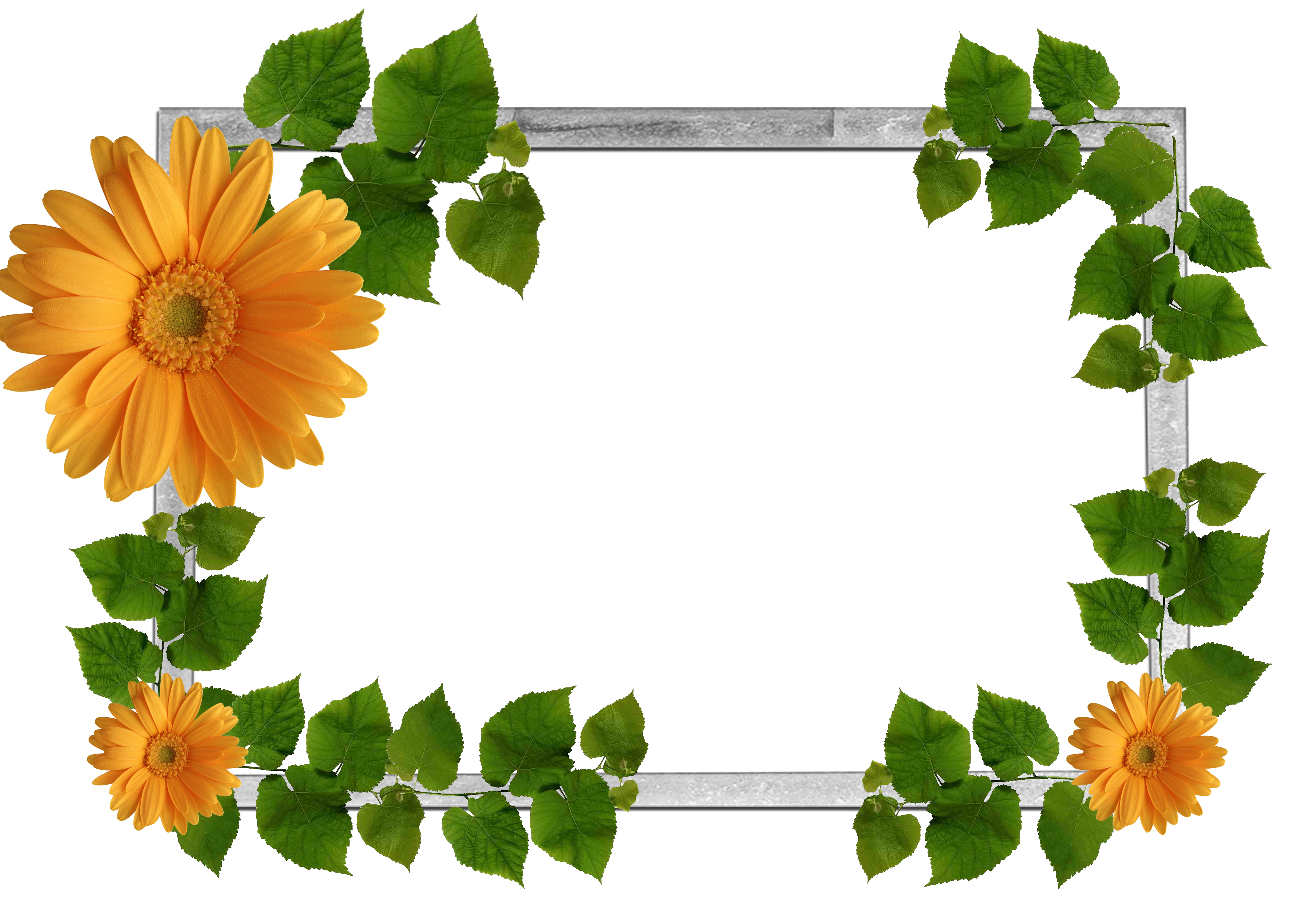 Flowers frame (2)
