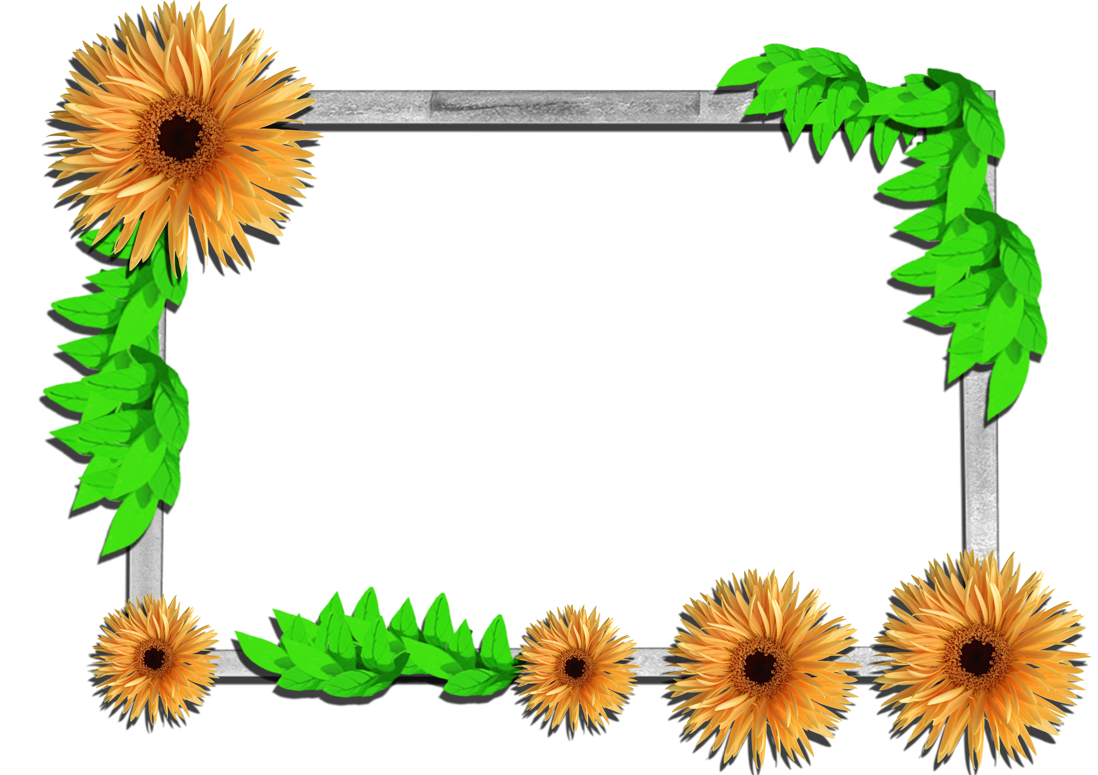 Flowers frame (3)