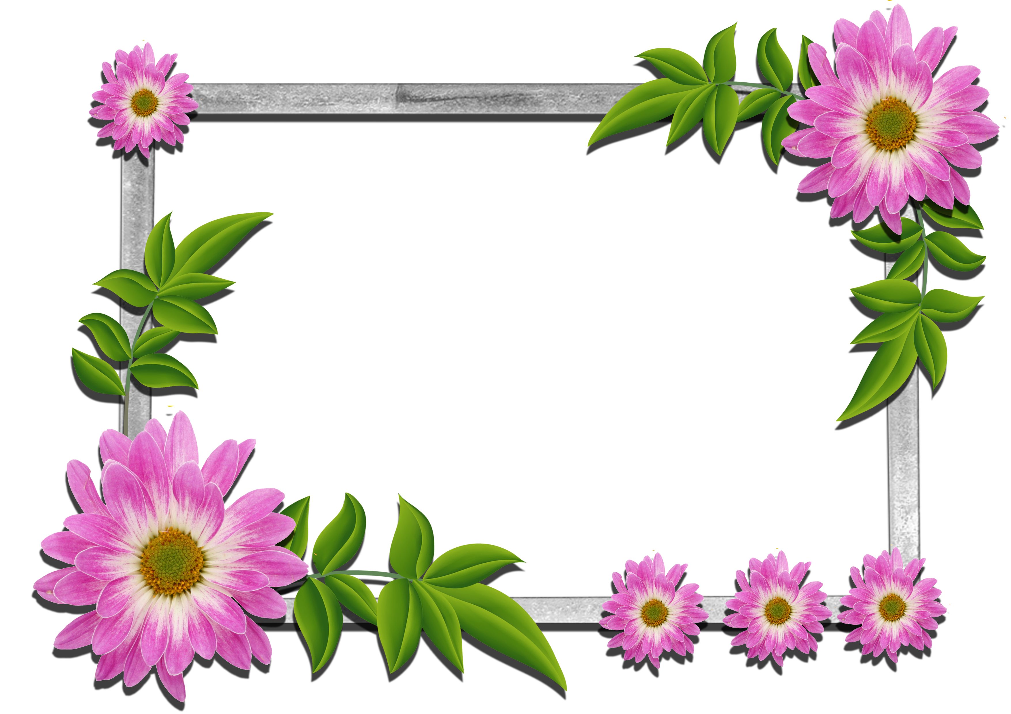 Flowers frame (5)