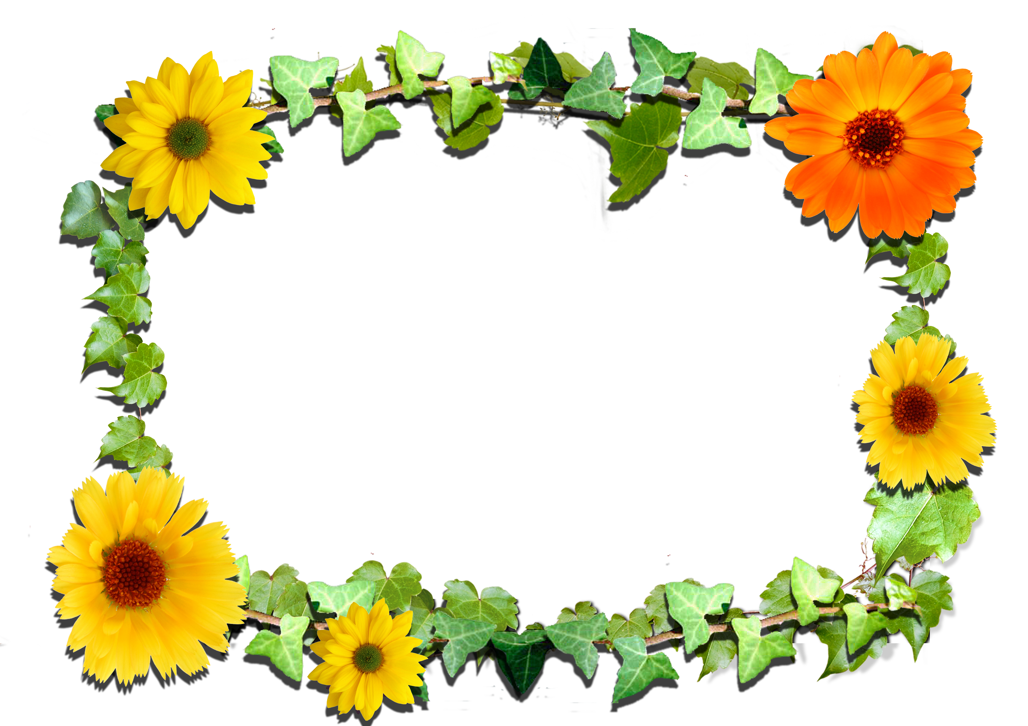 Flowers frame (6)