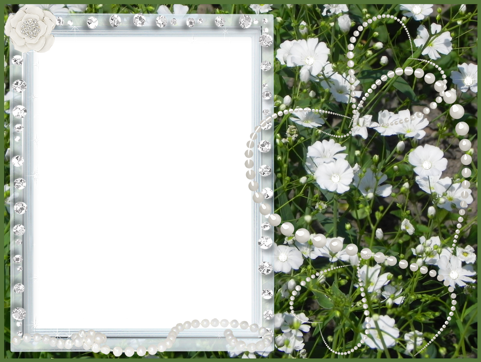 Green Floral Transparent PNG Frame | Gallery Yopriceville - High