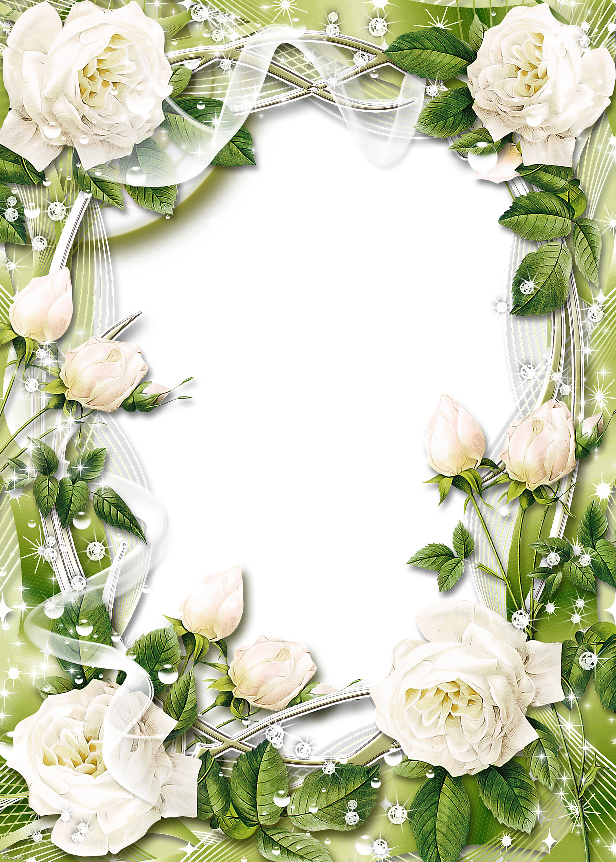 Green Transparent PNG Photo Frame with White Roses | Gallery