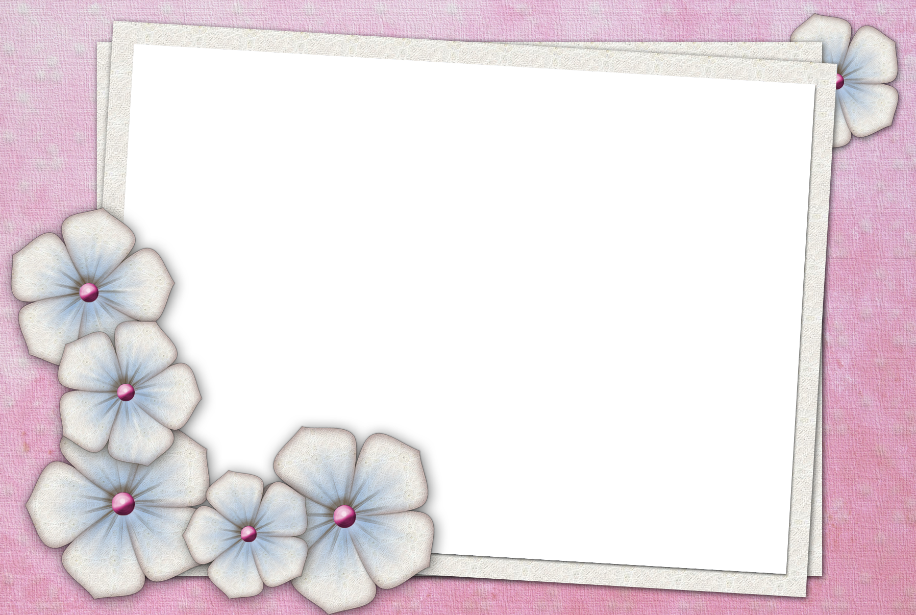 Large Pink Transparent Frame with Flowers Gallery ...