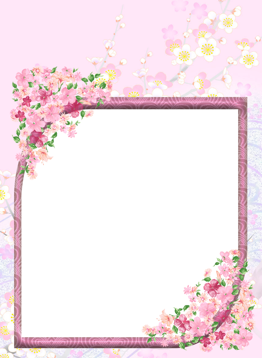 Pink Transparent Flowers PNG Photo Frame | Gallery Yopriceville - High