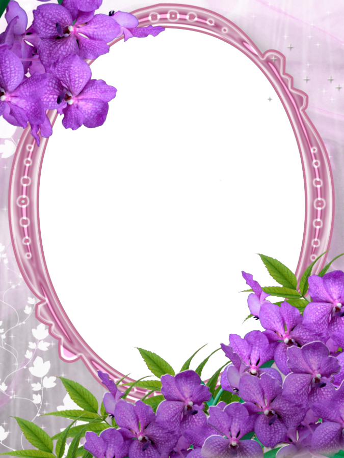 Pink Transparent Frame with Purple Flowers | Gallery Yopriceville