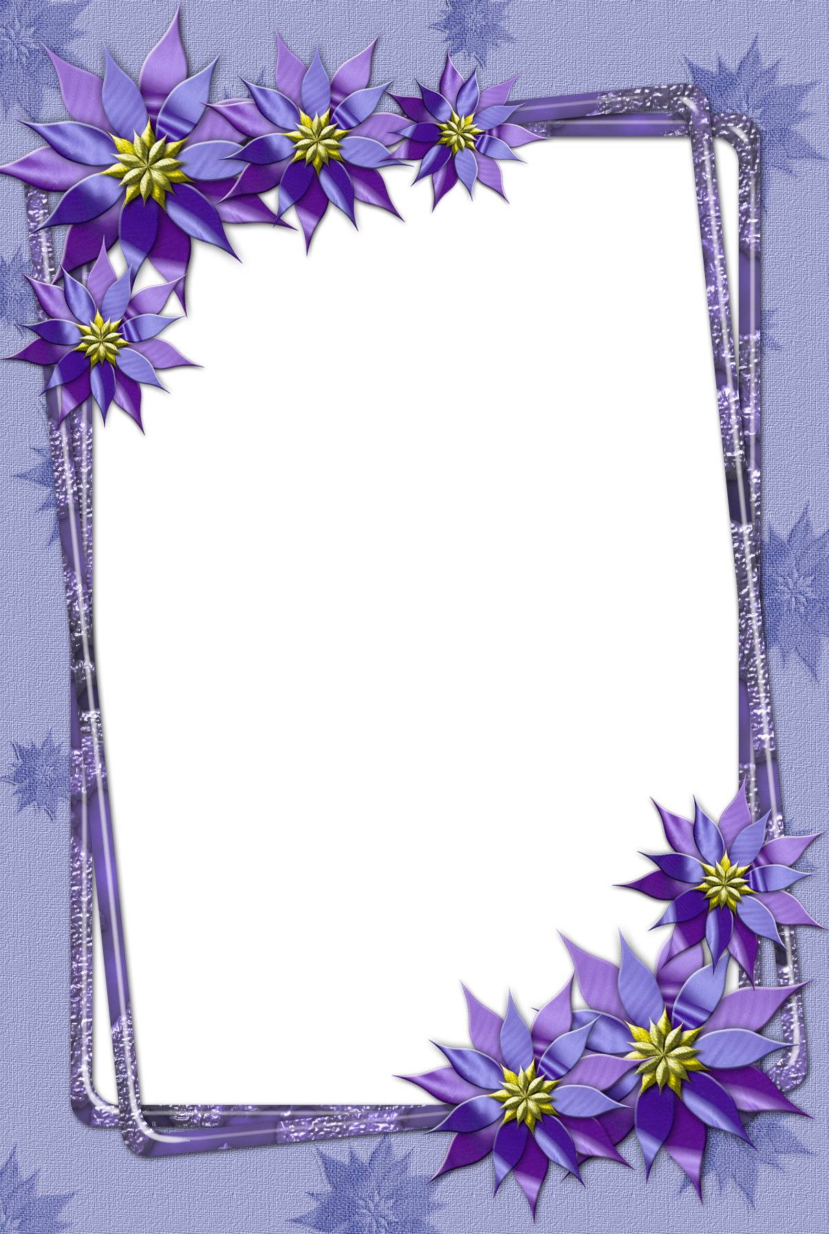 Flower Transparent Frame