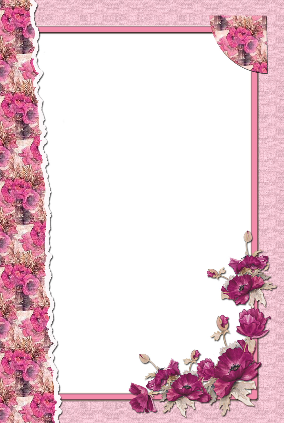 Transparent Flower Pink Frame | Gallery Yopriceville - High-Quality