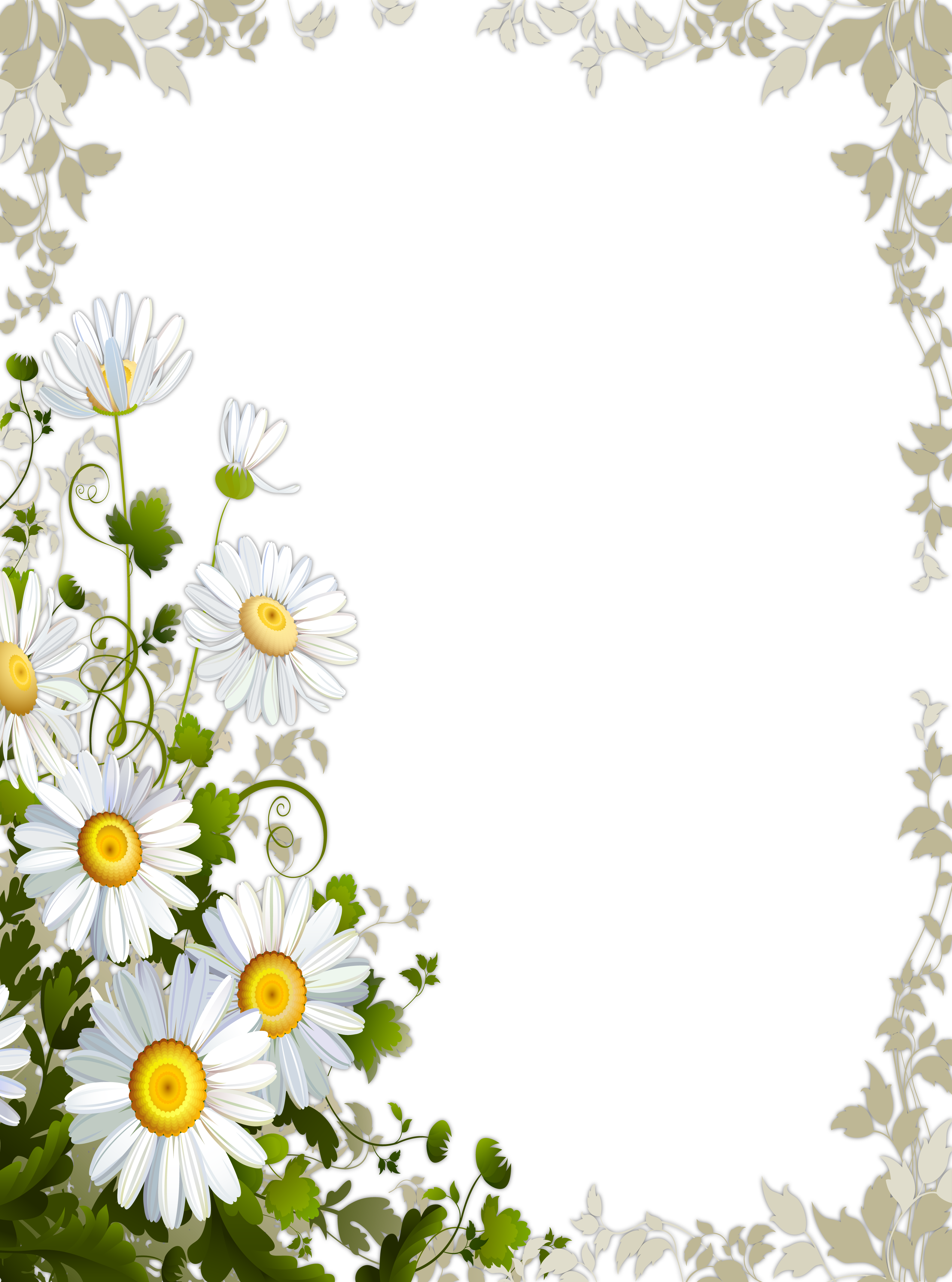 Transparent Frame with Daisies | Gallery Yopriceville - High-Quality