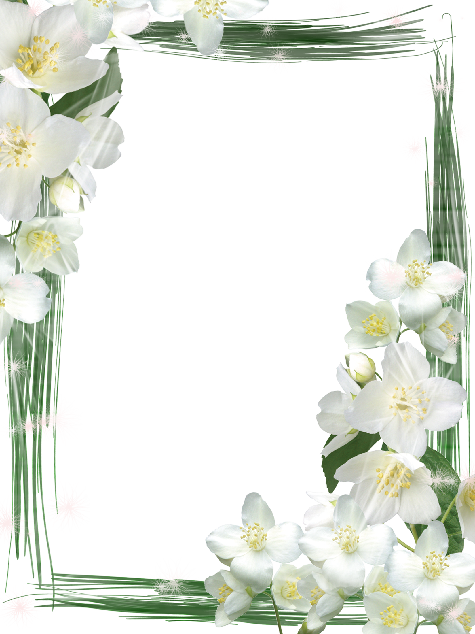 Transparent Green Frame with White Flowers | Gallery Yopriceville