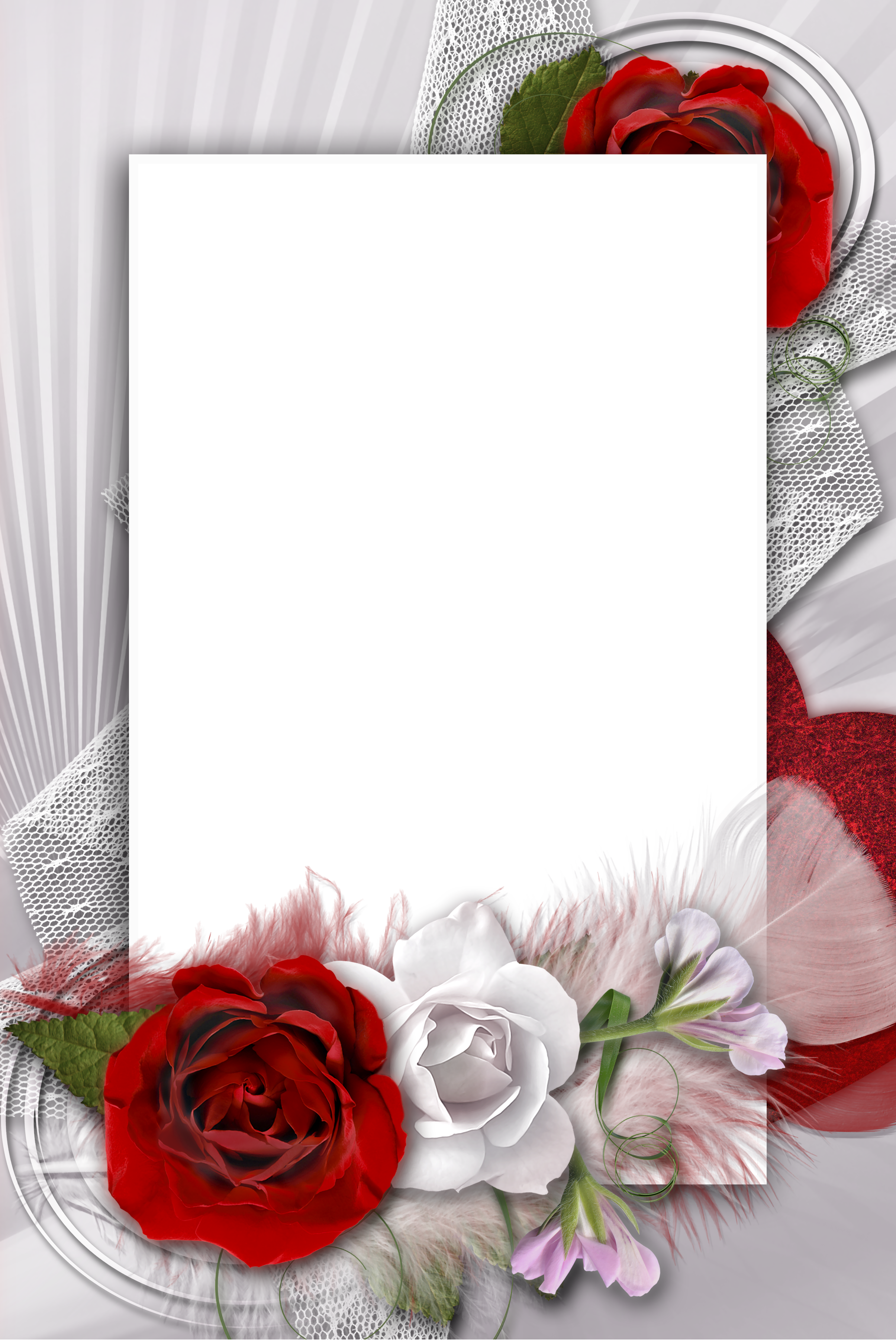 Transparent Romantic Frame with White and Red Rose | Gallery