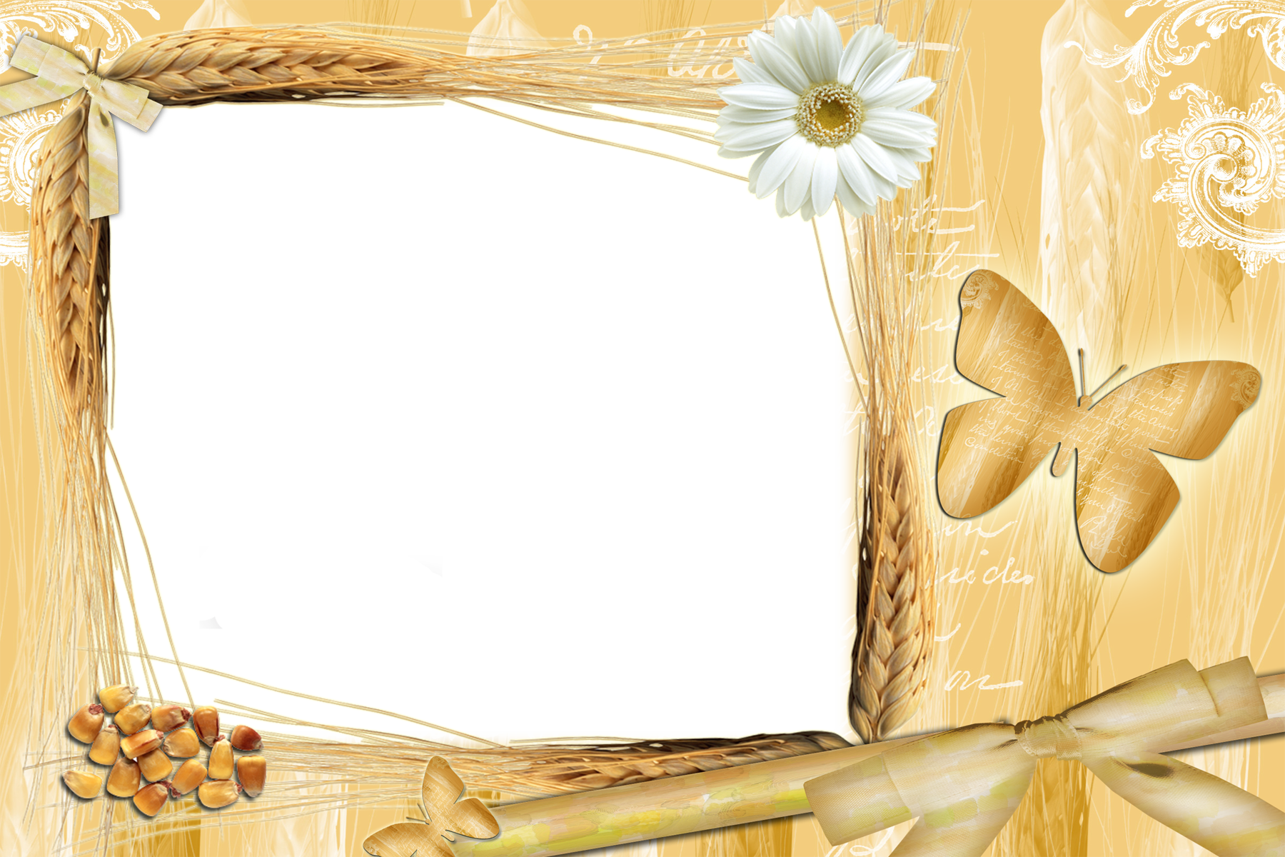 Transparent Yellow Frame with Daisy | Gallery Yopriceville - High