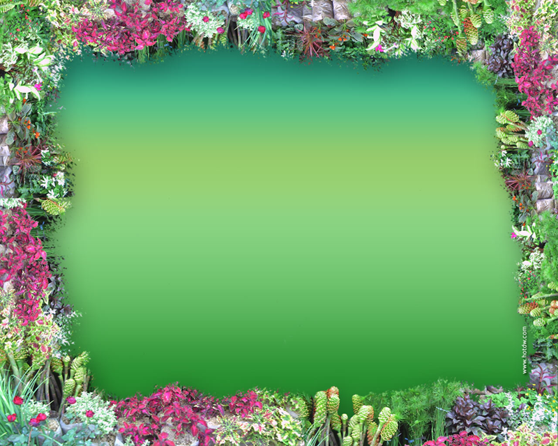 frame-flower-border