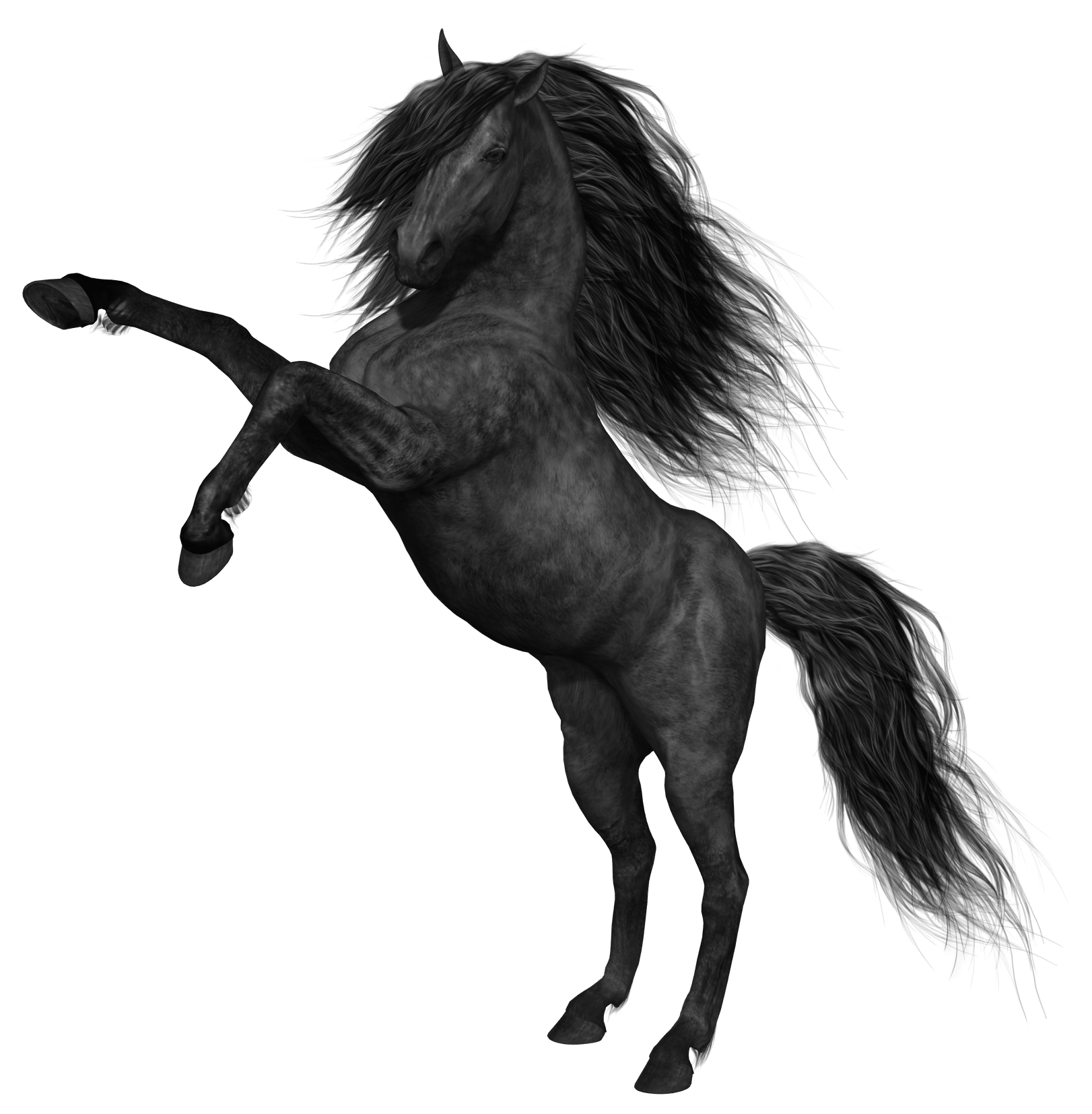 Black Horse PNG Picture | Gallery Yopriceville - High-Quality Images