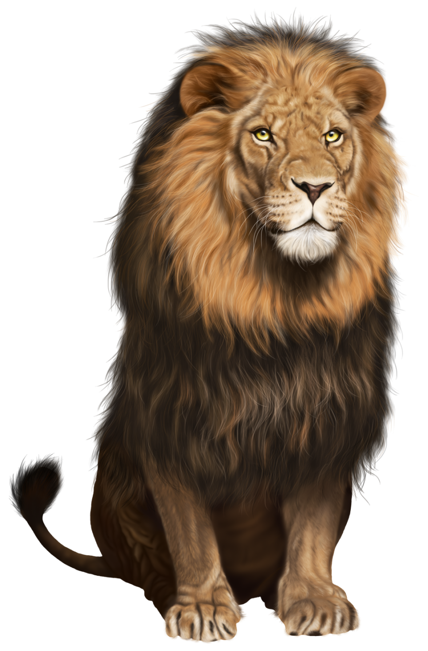 clipart lion background - photo #11