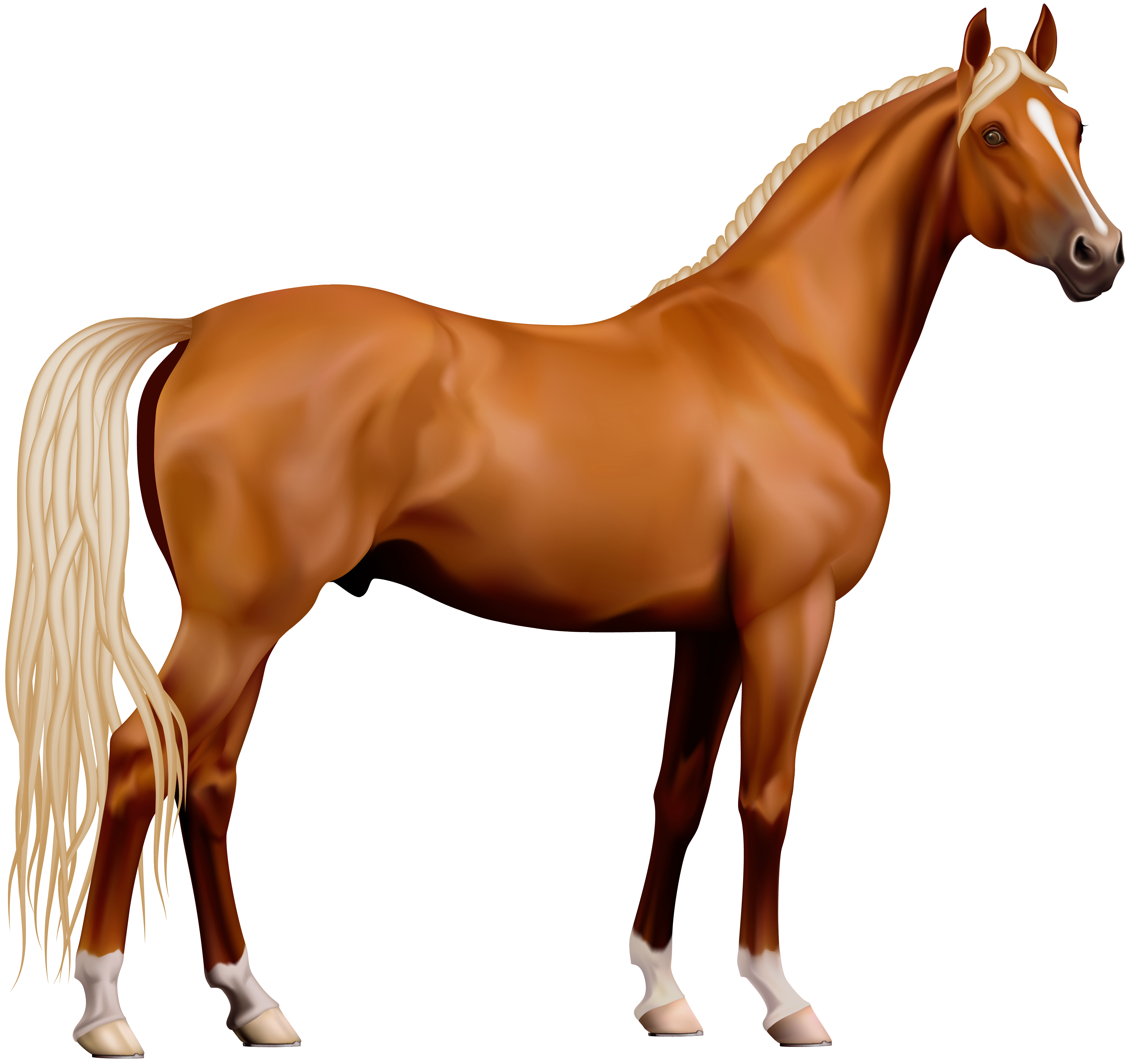 clipart of horse - photo #47