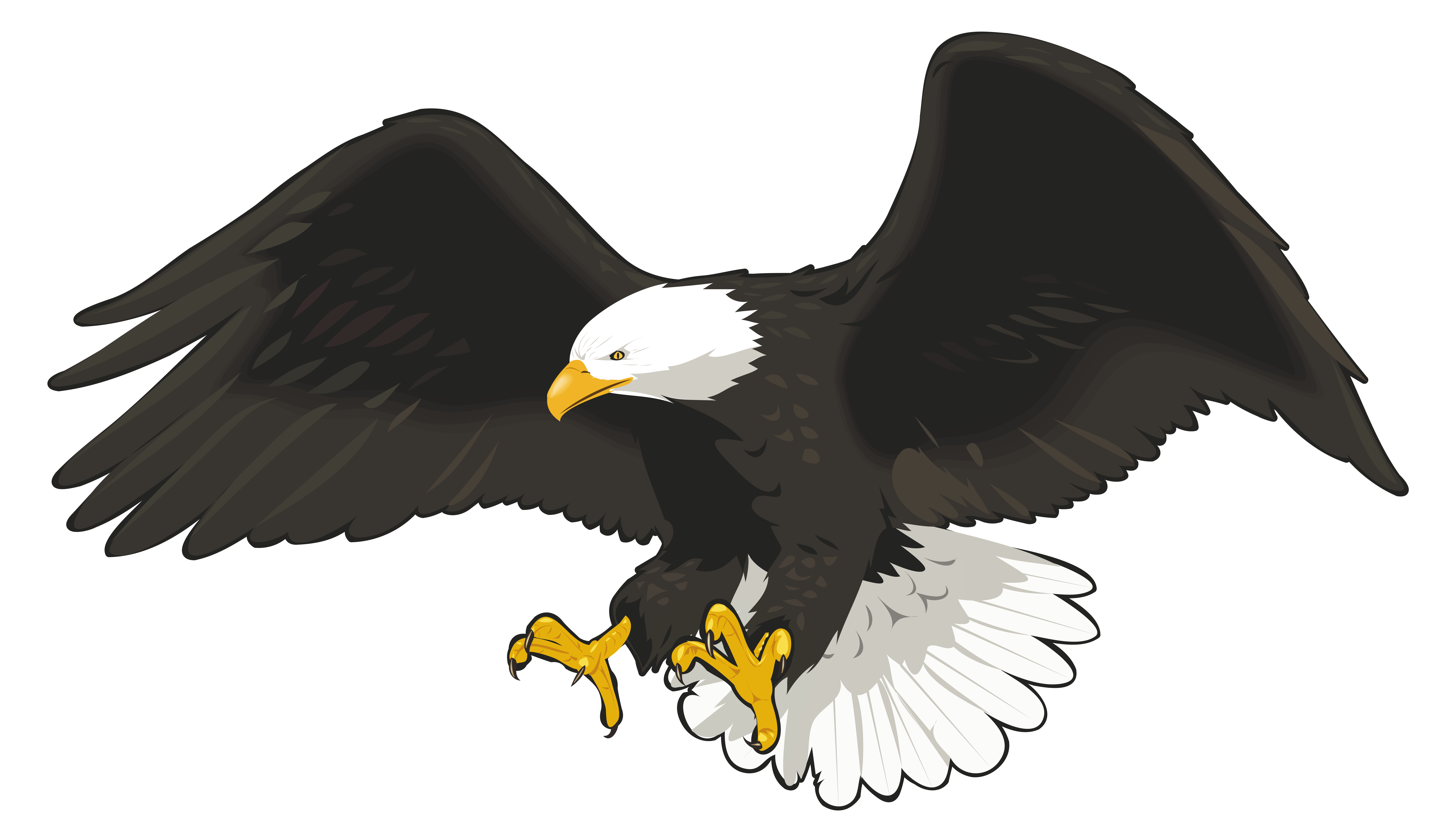 free clipart pictures of eagles - photo #49
