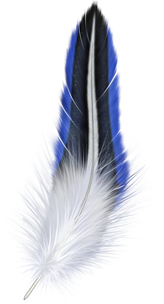 Blue and White Feather Clipart | Gallery Yopriceville - High-Quality