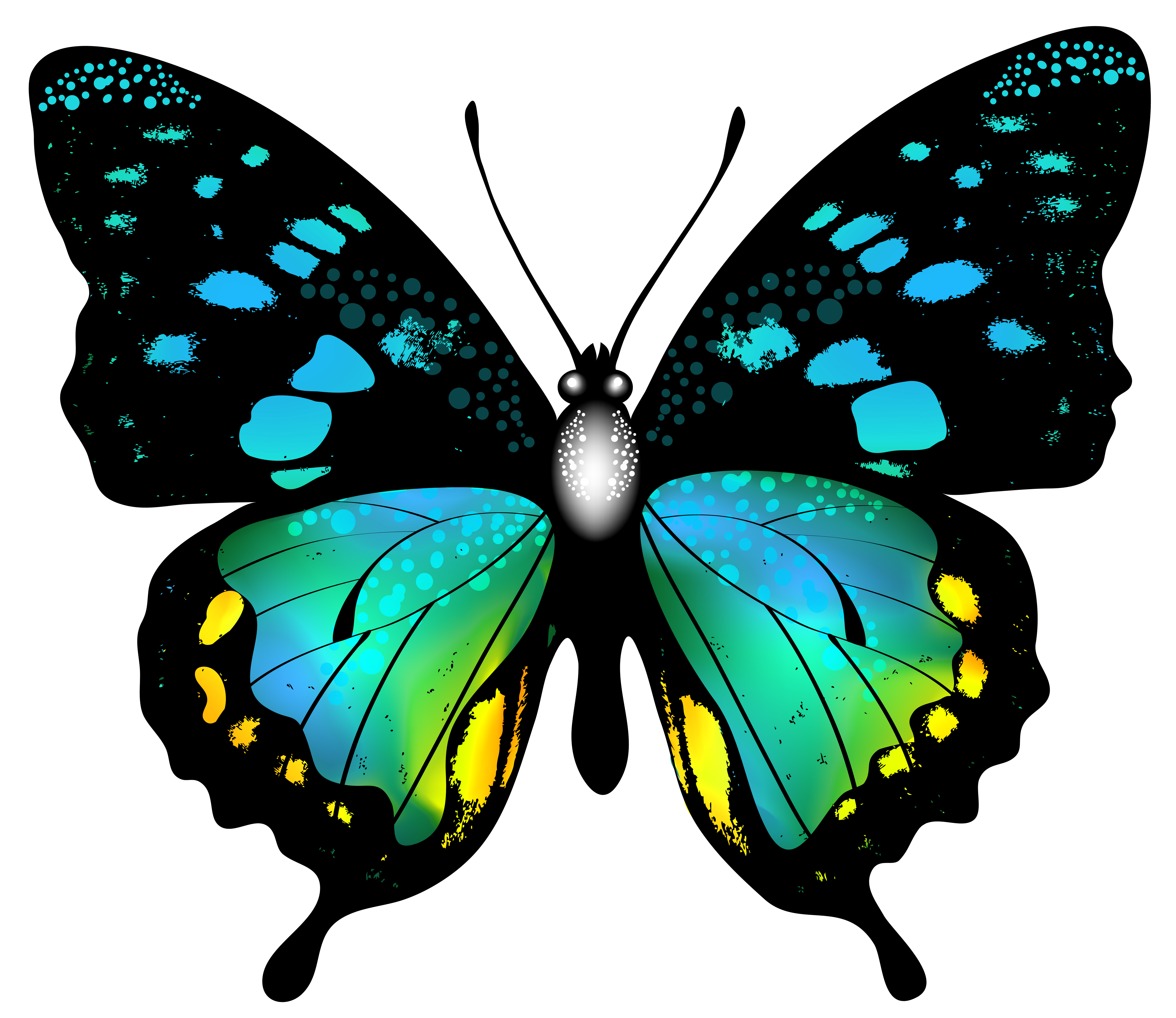 Pin By Imn8xtc Hopkins On World I Live In Butterfly Clip Art