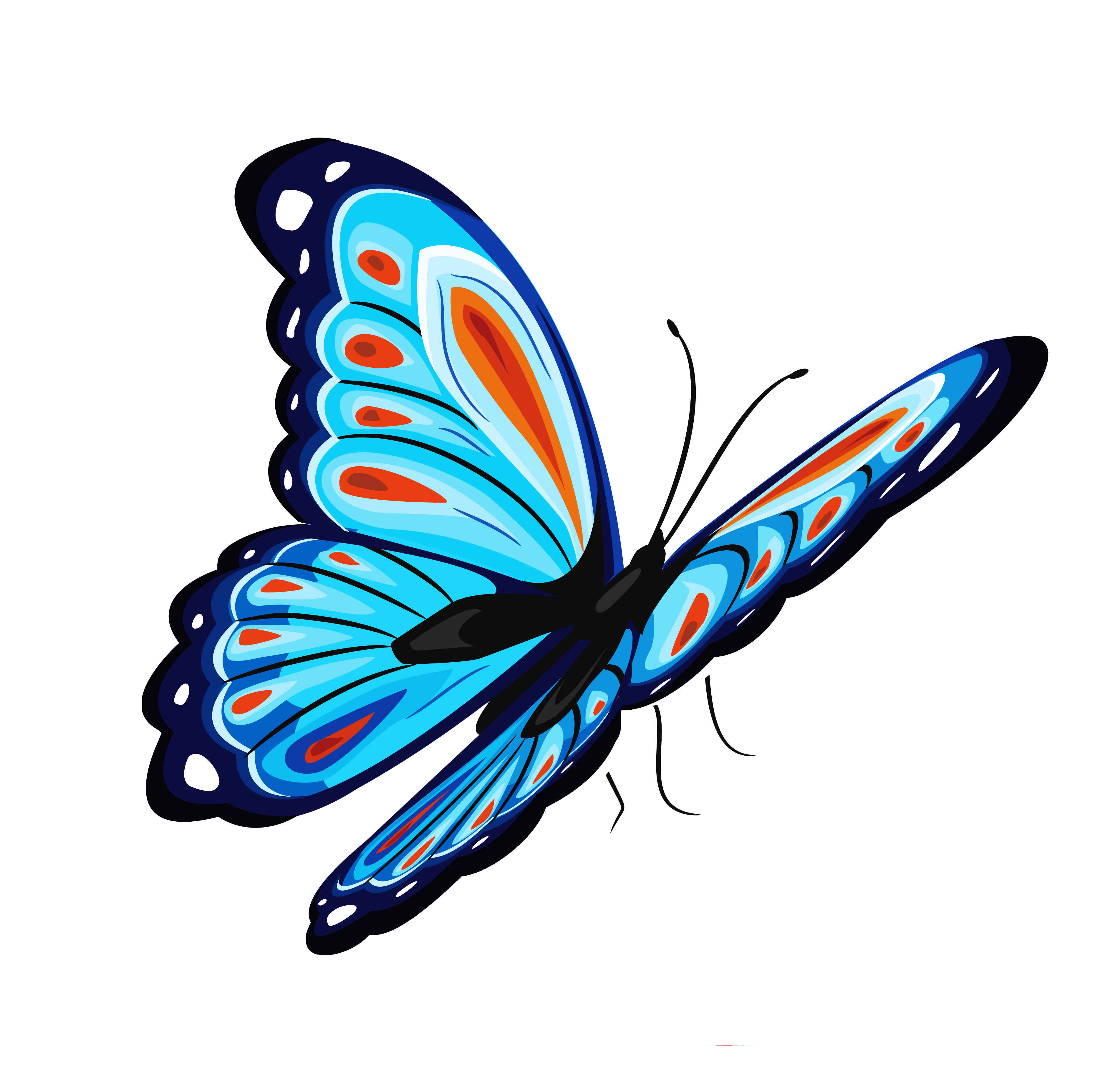 free butterfly clipart png - photo #14