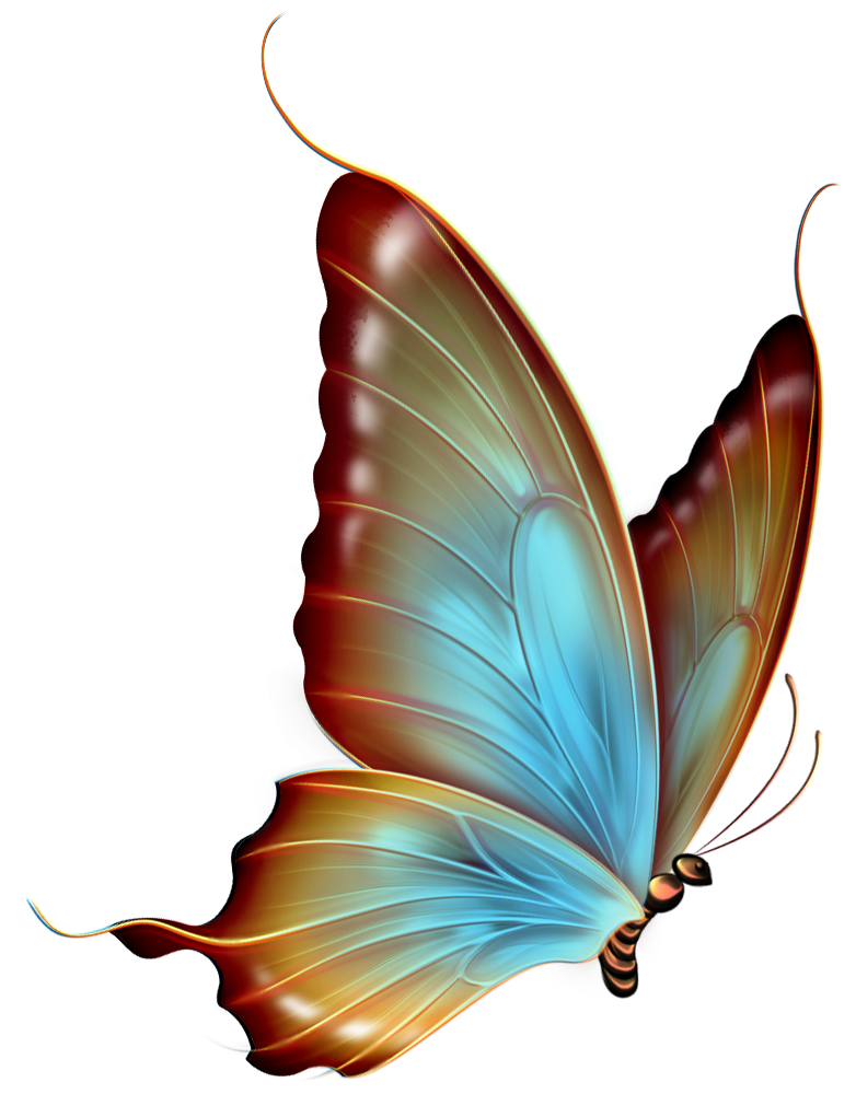 butterflies clipart free download - photo #50