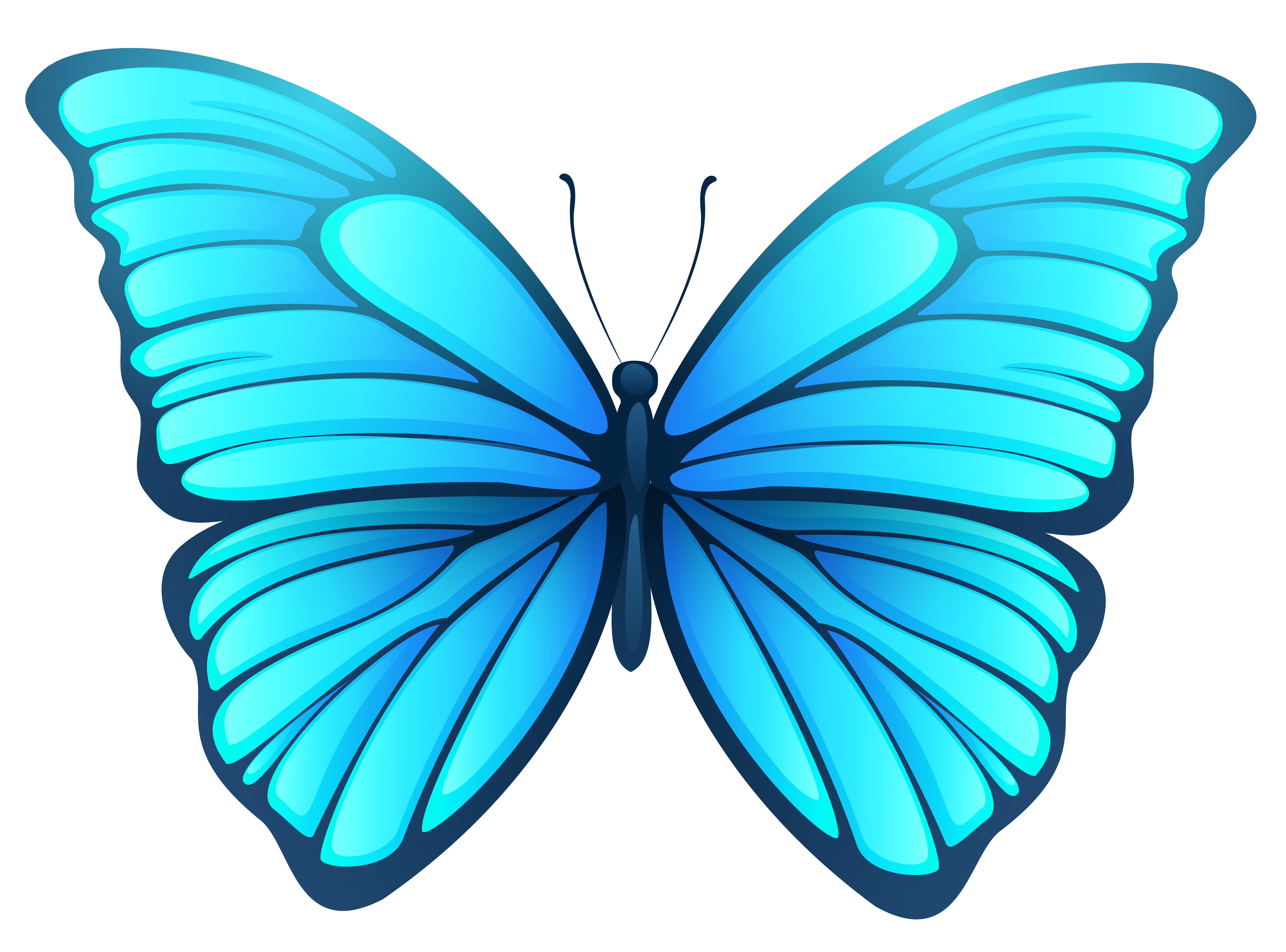 free butterfly clipart png - photo #47