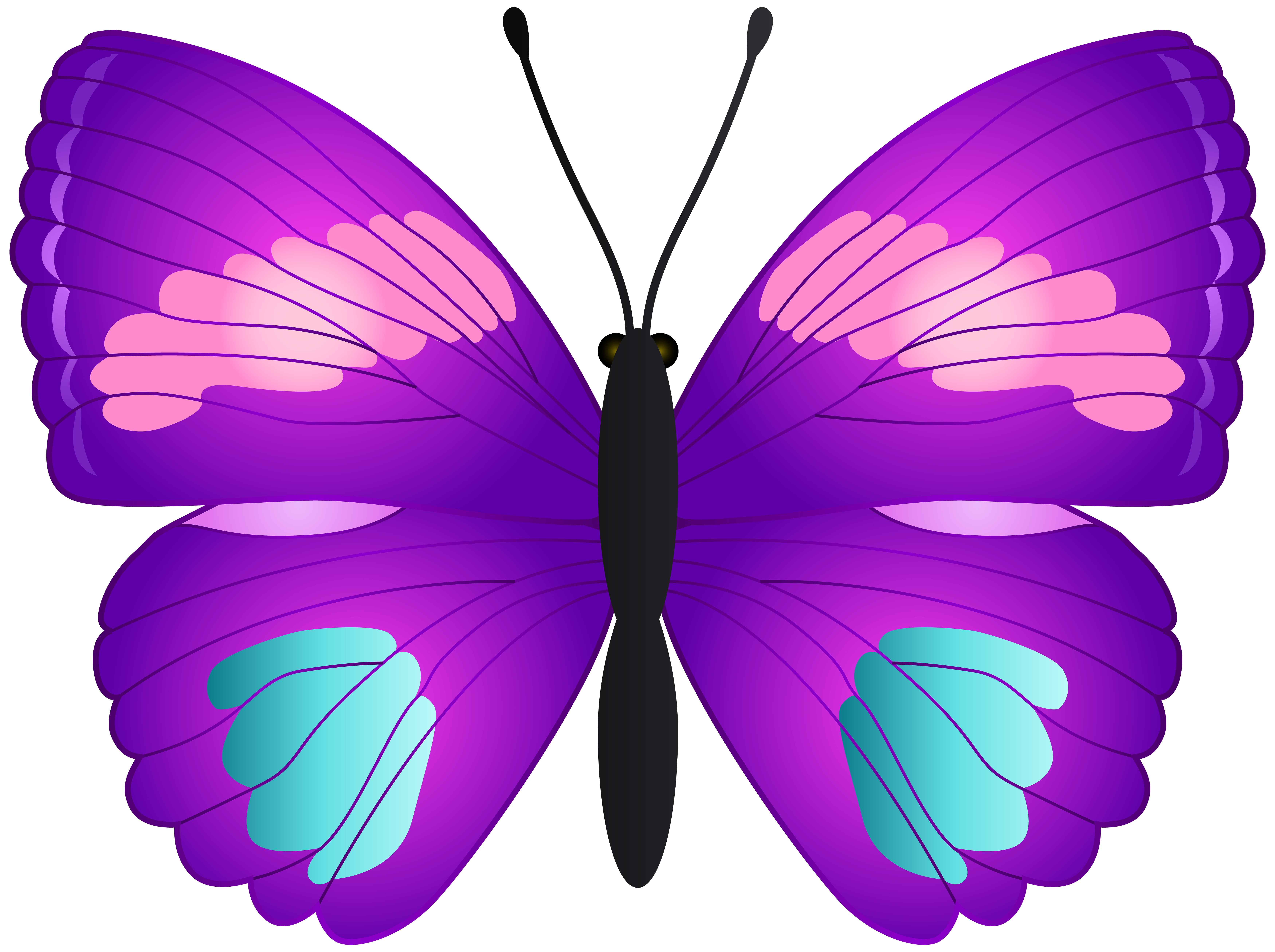 Butterfly Transparent PNG Clip Art | Gallery Yopriceville - High