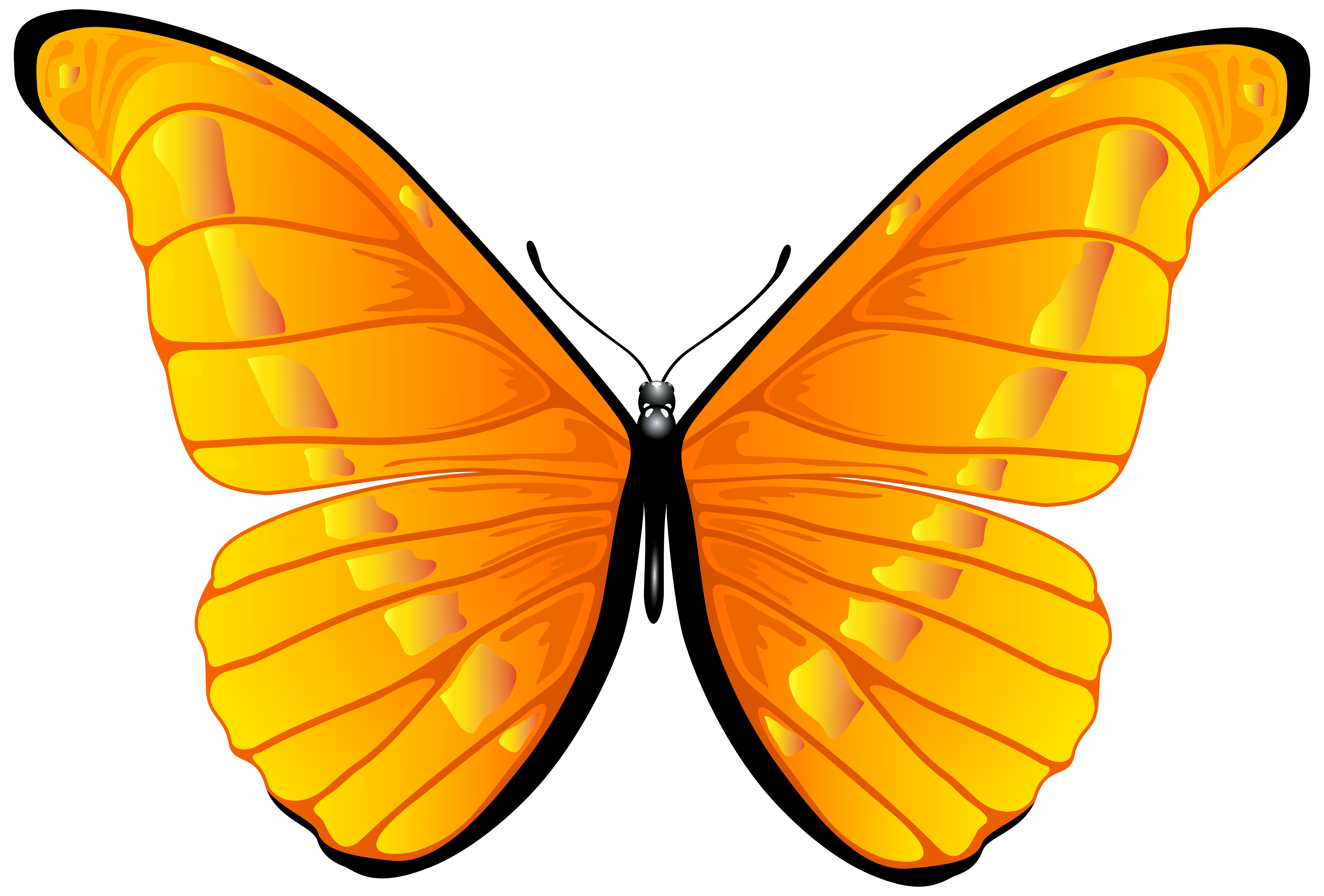 free butterfly clipart png - photo #29