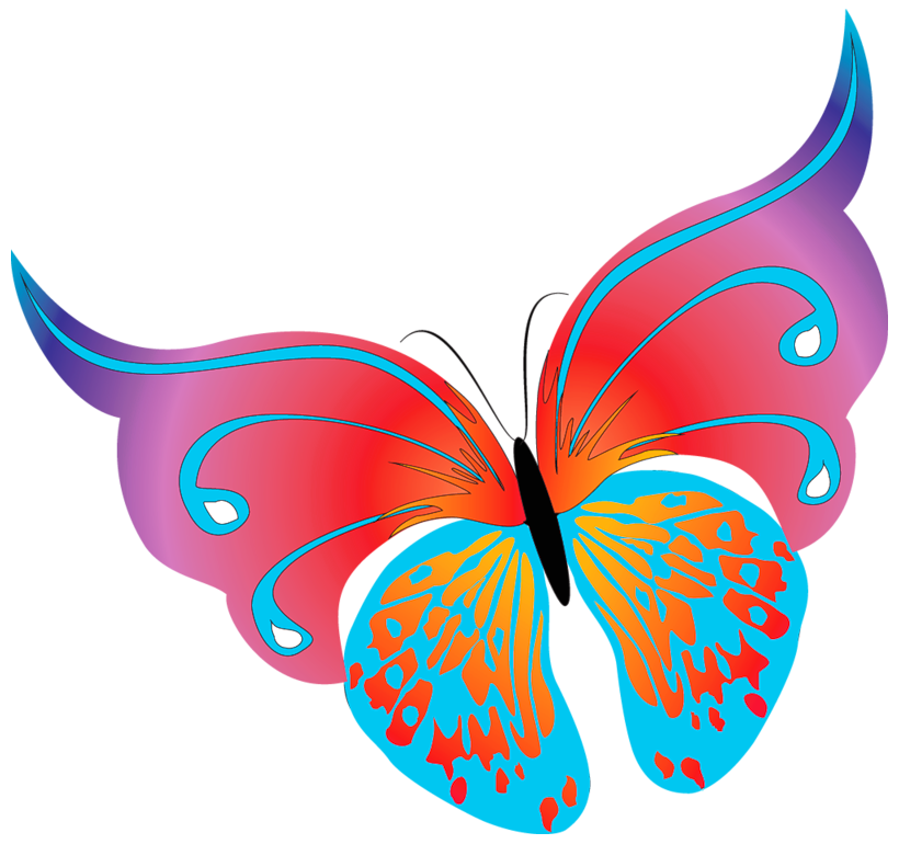 png clipart- butterfly pack - photo #35