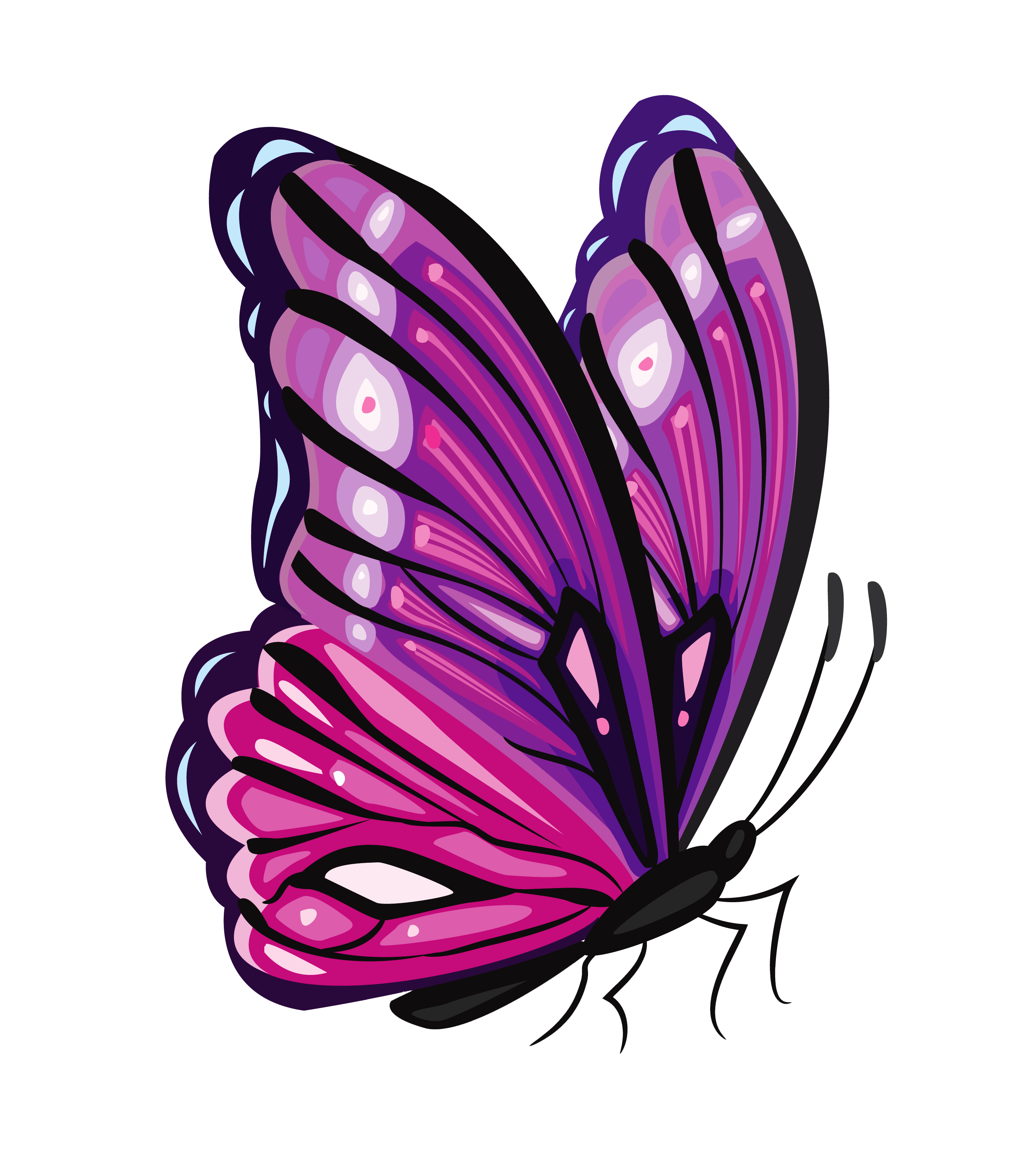 free butterfly clipart png - photo #5