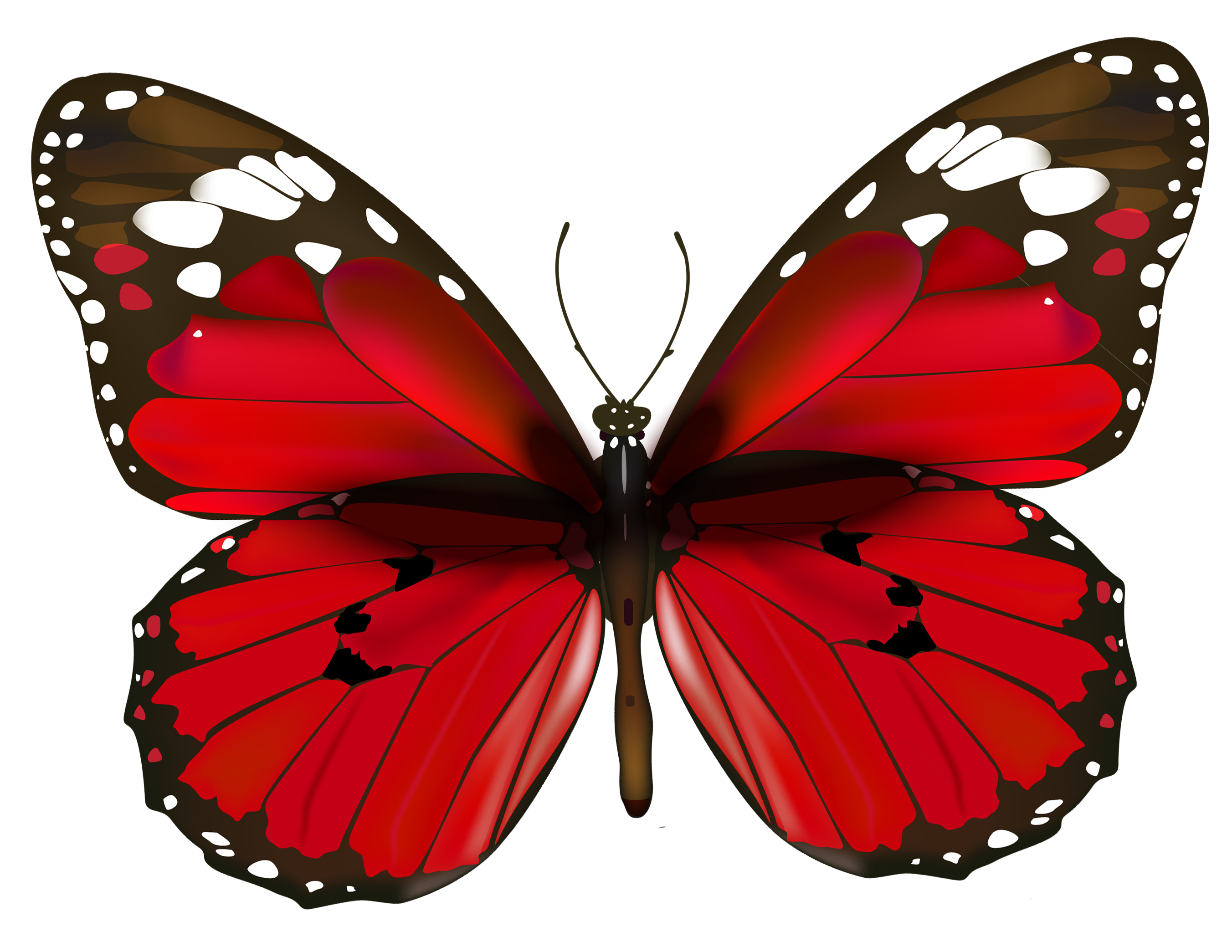 free red butterfly clip art - photo #5