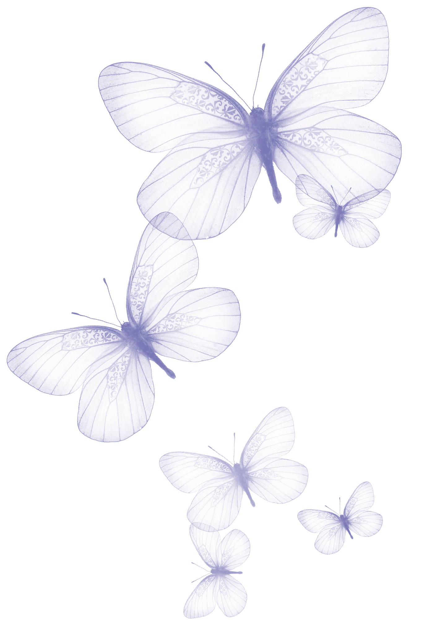 free butterfly clipart png - photo #28