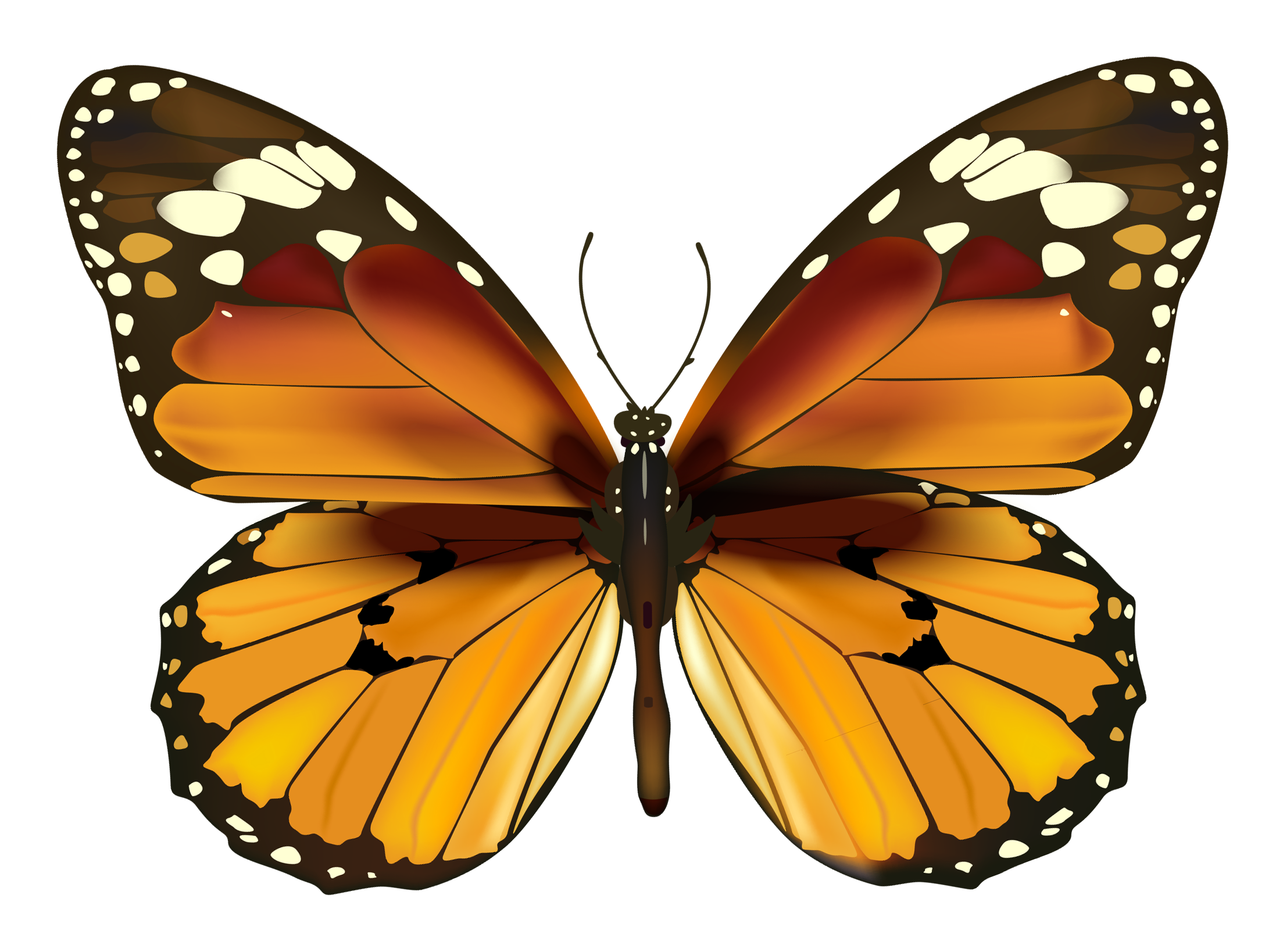 Yellow Butterfly Png Clipart Gallery Yopriceville High Quality Images And Transparent Png Fre Butterfly Pictures Butterfly Art Painting Butterfly Painting