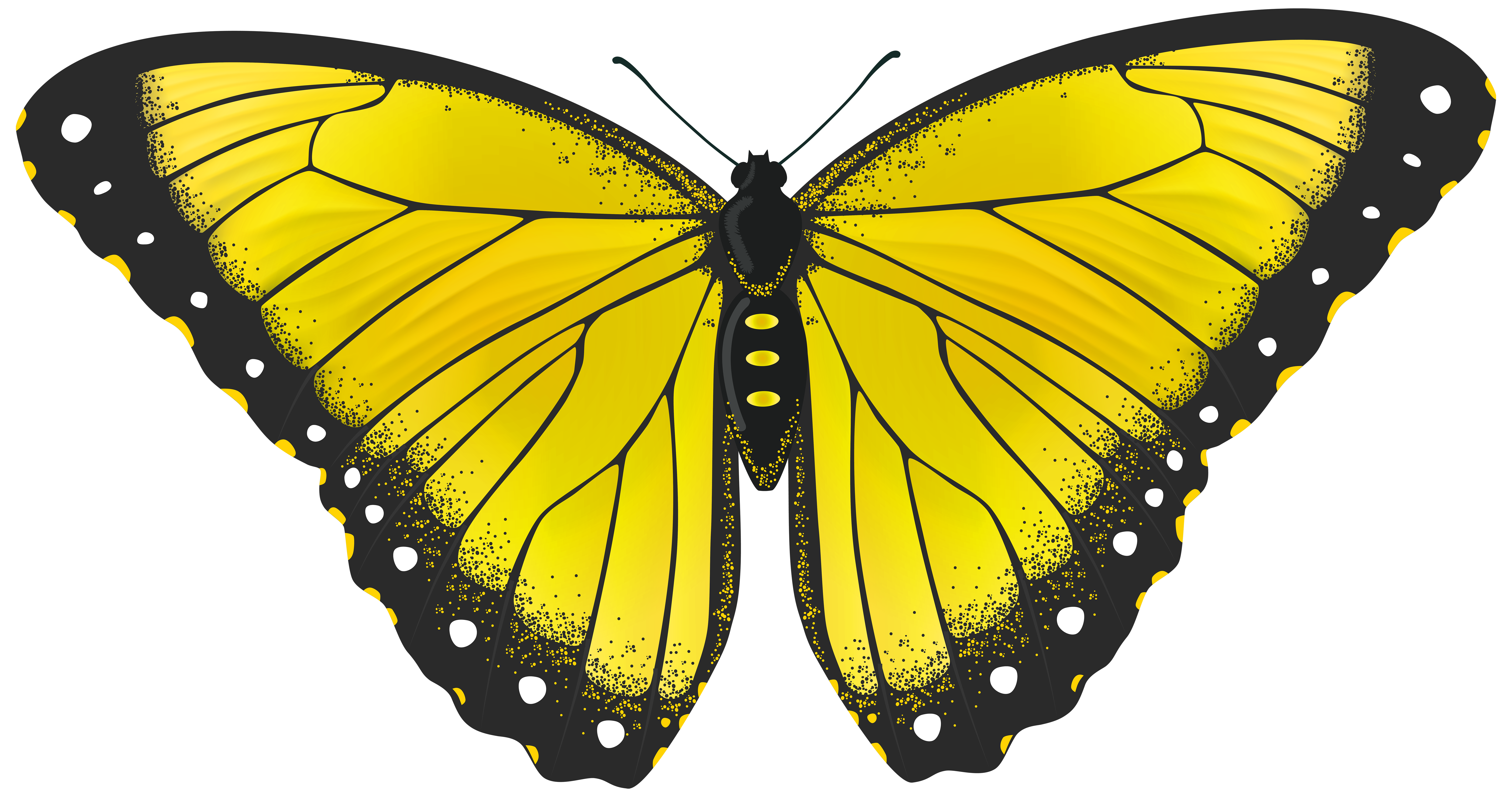 butterfly clipart png - photo #48
