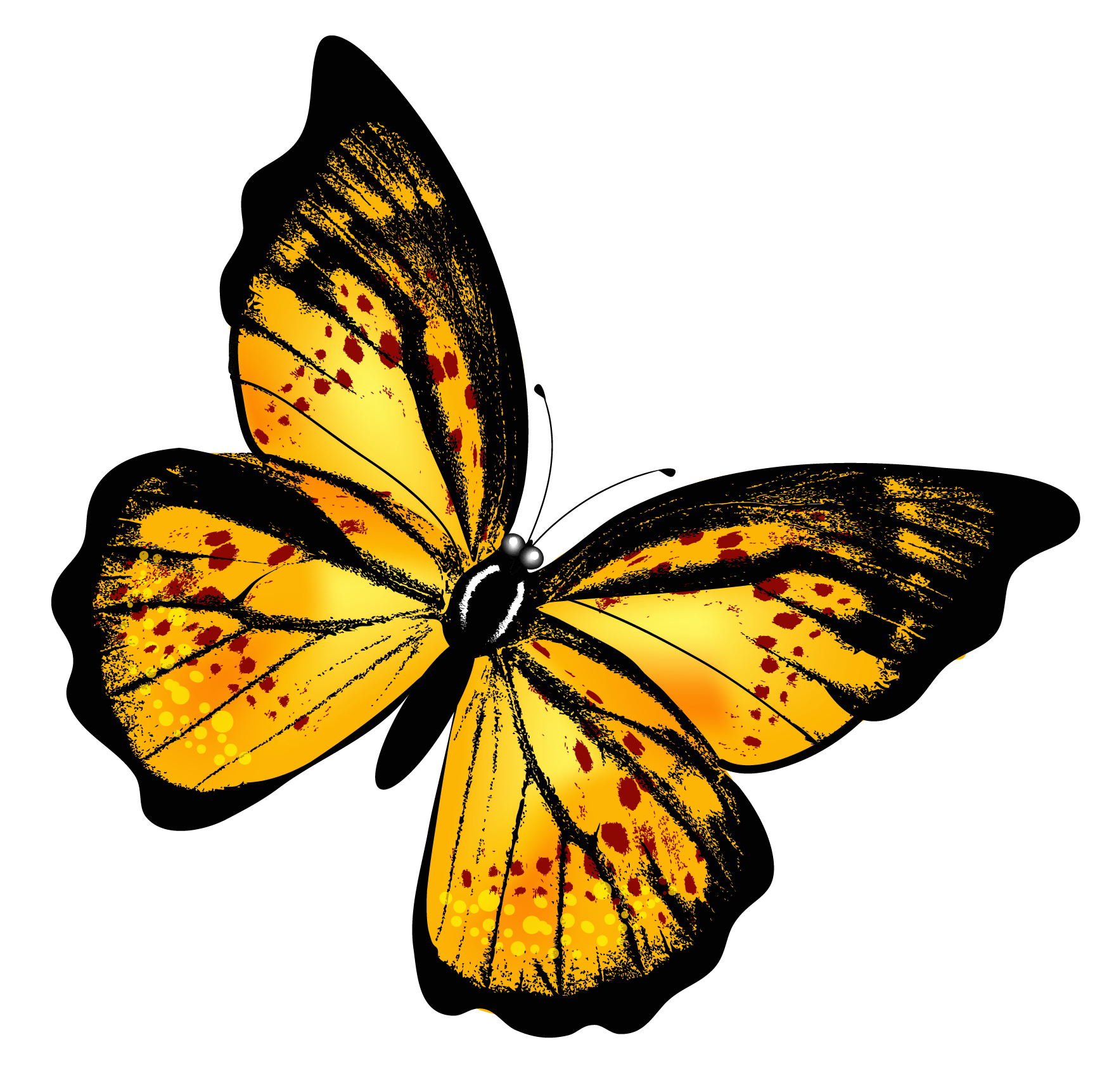 free butterfly clipart png - photo #18
