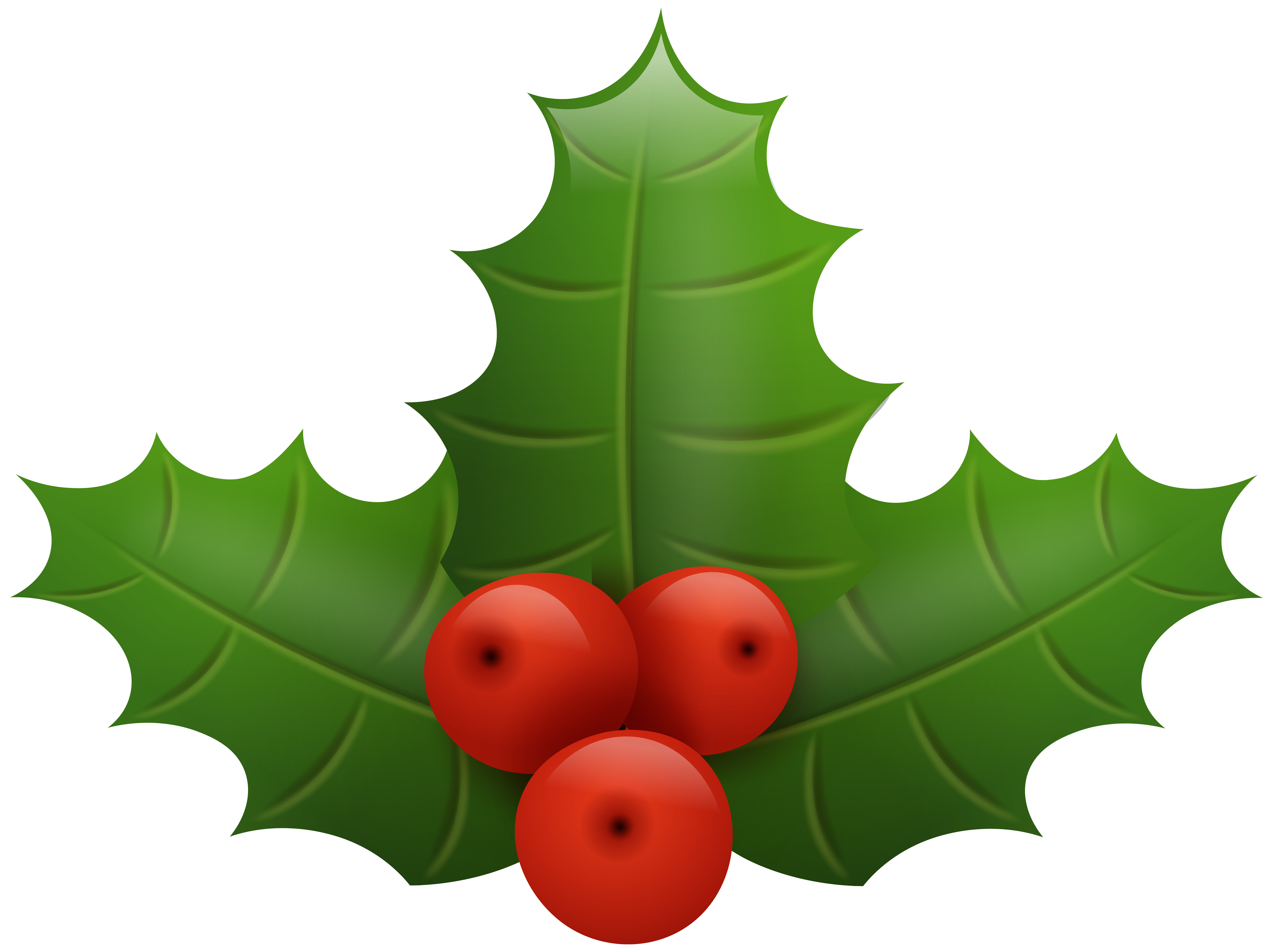 holly clip art png - photo #26