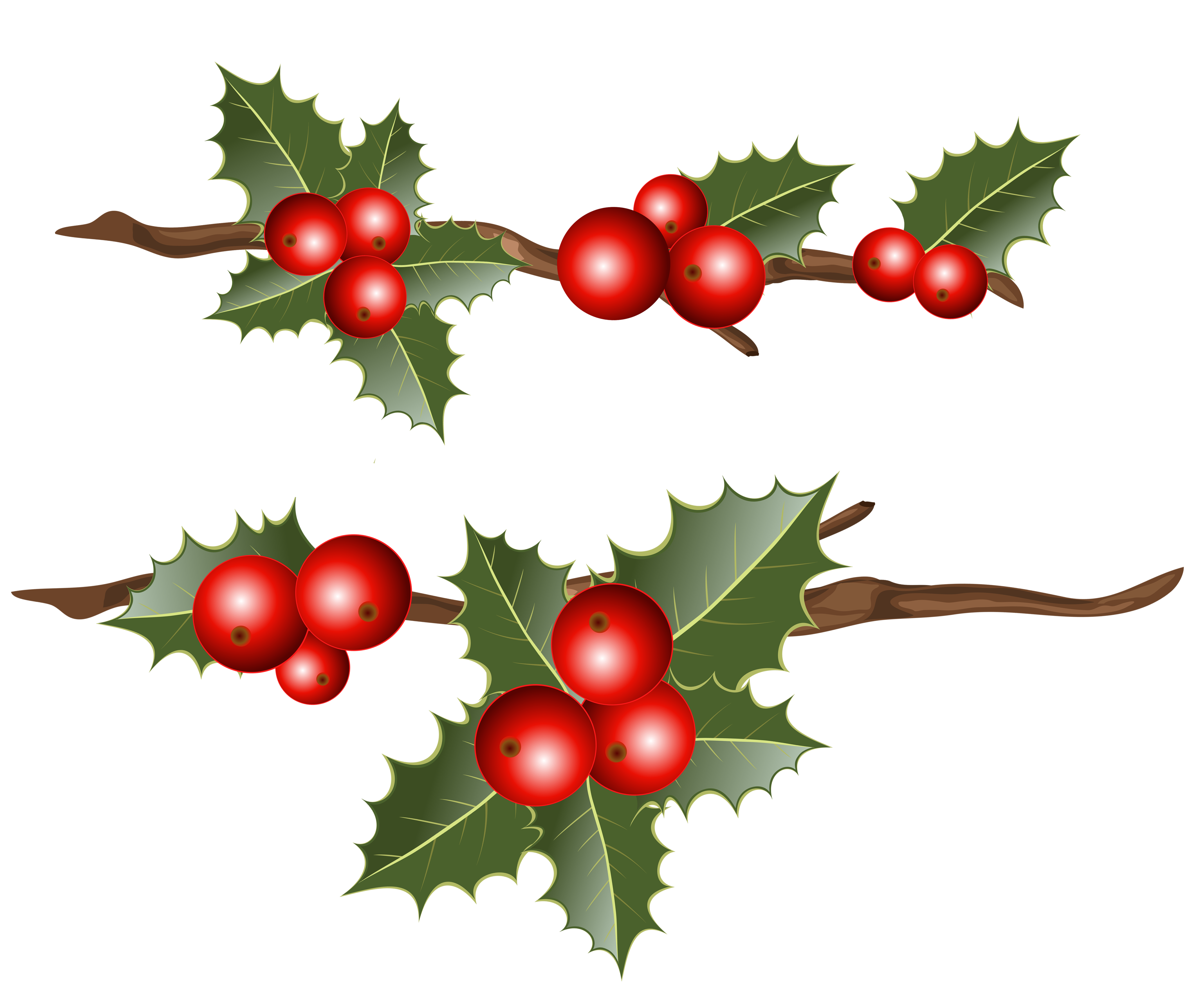 holly clip art png - photo #15