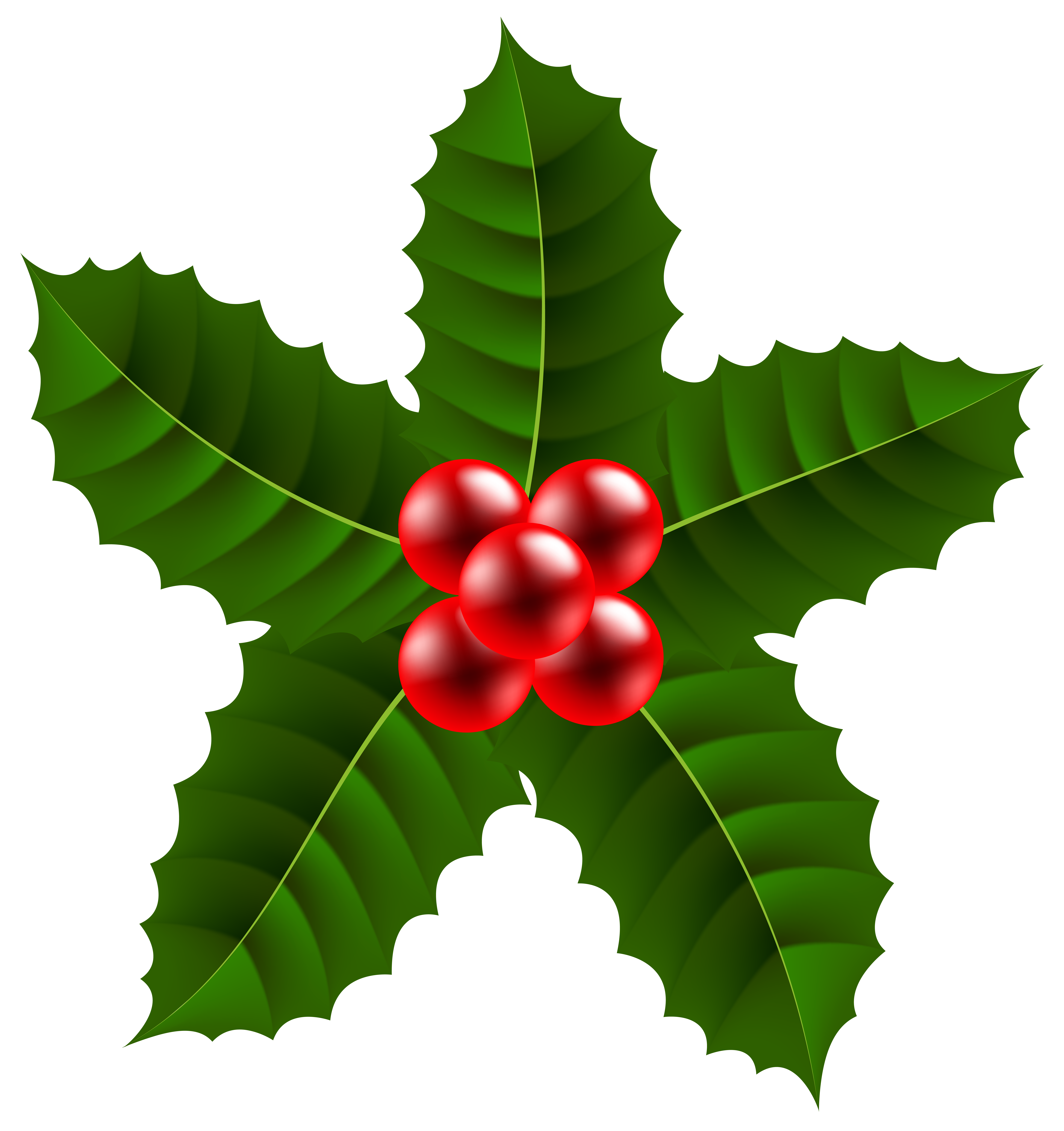 holly clip art png - photo #27