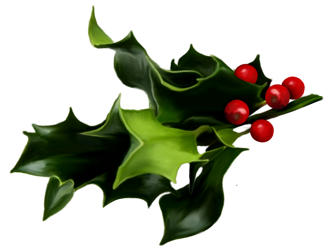 Mistletoe PNG Art | Gallery Yopriceville - High-Quality Images and