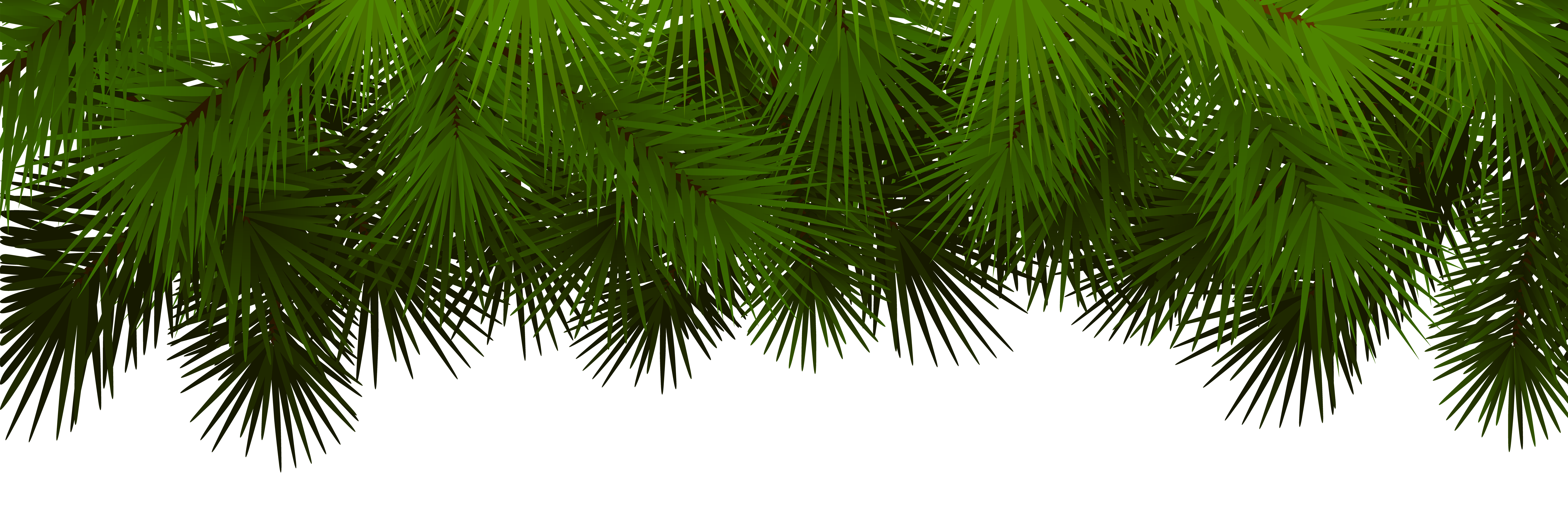 pine branches decoration transparent png clip art christmas tree boughs