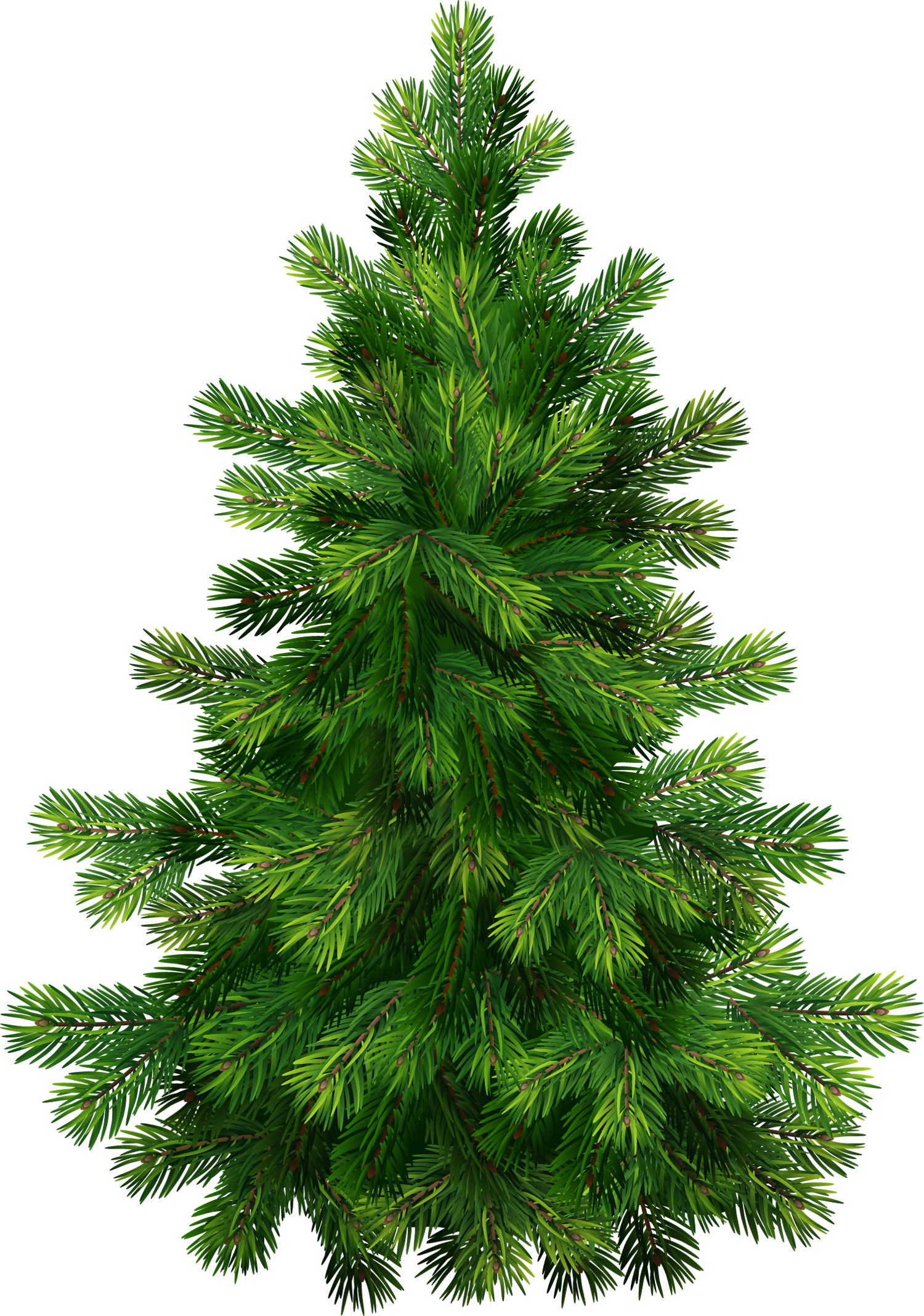 [Image: Transparent_Pine_Tree_PNG_Clipart.png?m=1383028443]